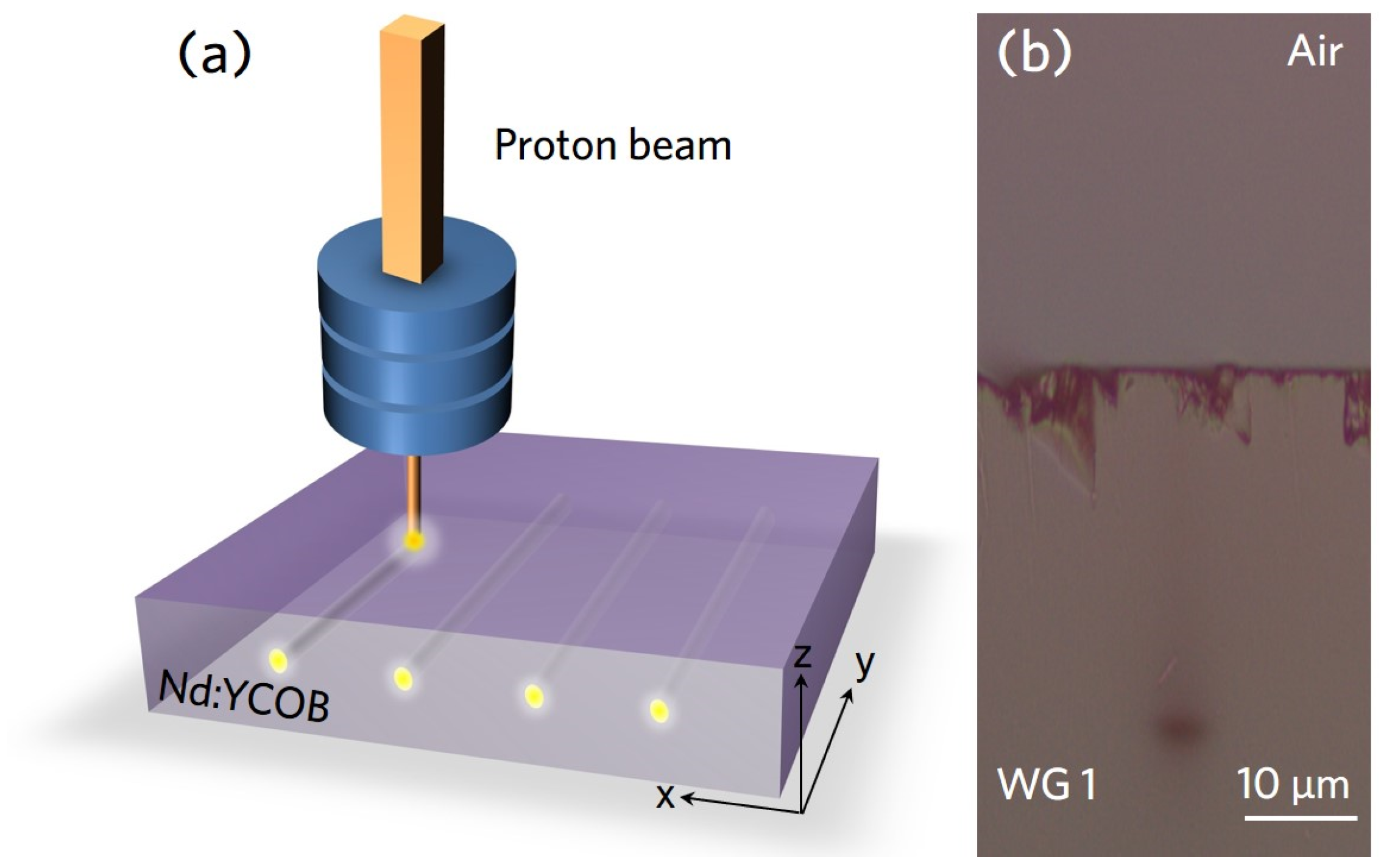 Crystals 12 01832 g001