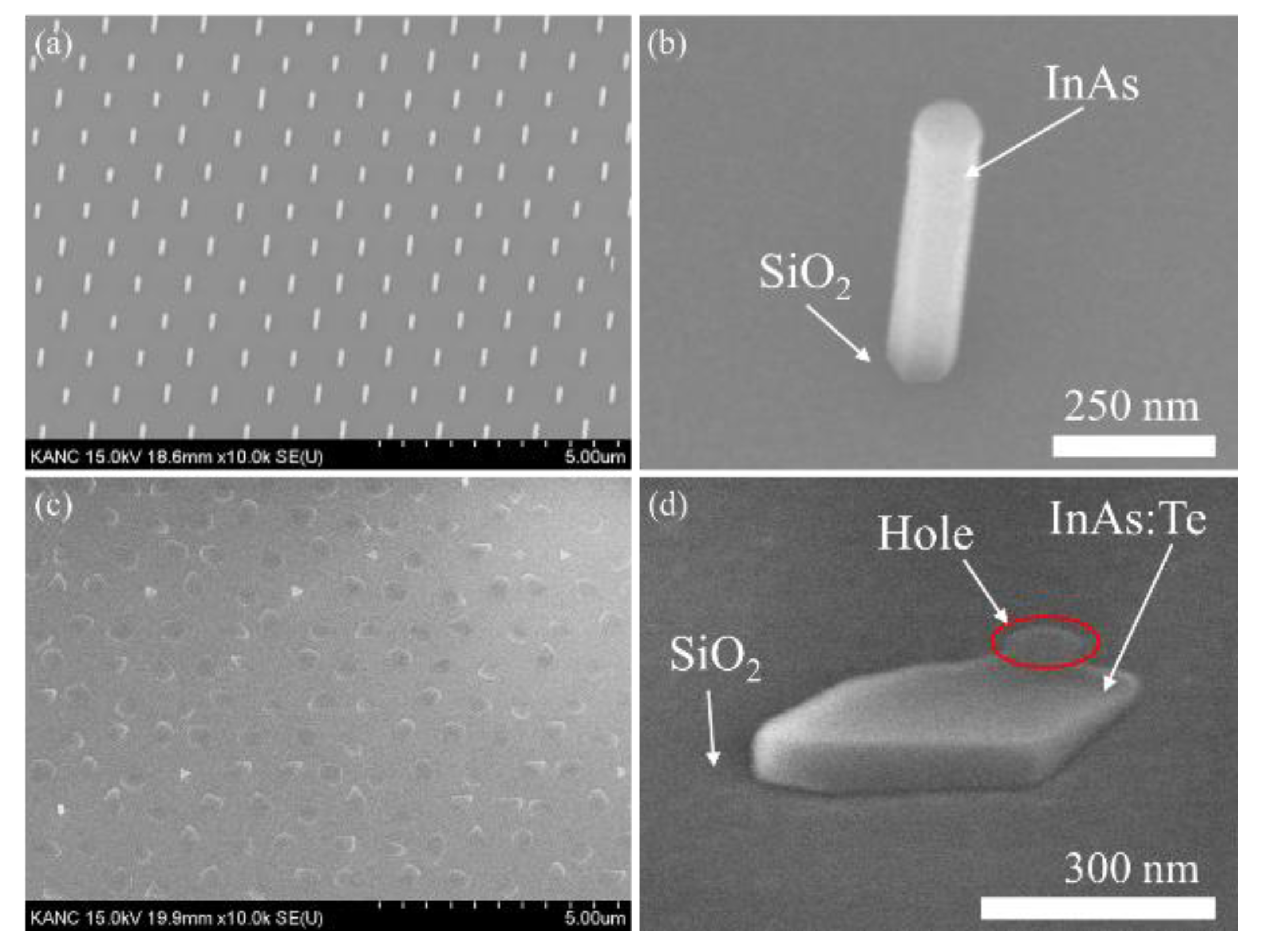 Crystals 12 01846 g001 Crystals 12 01846 g001