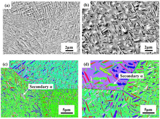 Effect of Secondary α Phase on Stress Corrosion Cracking of