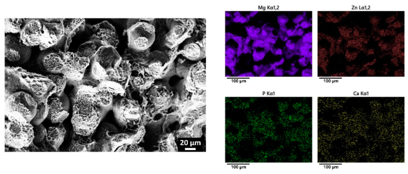 Crystals 12 01850 g007