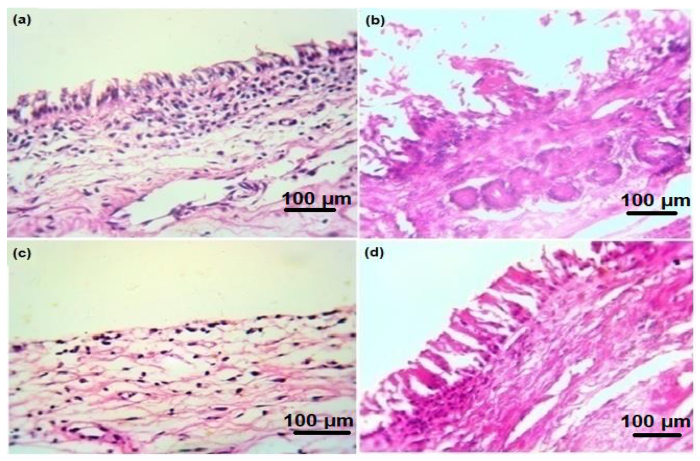 Crystals 13 00021 g007 Crystals 13 00021 g007