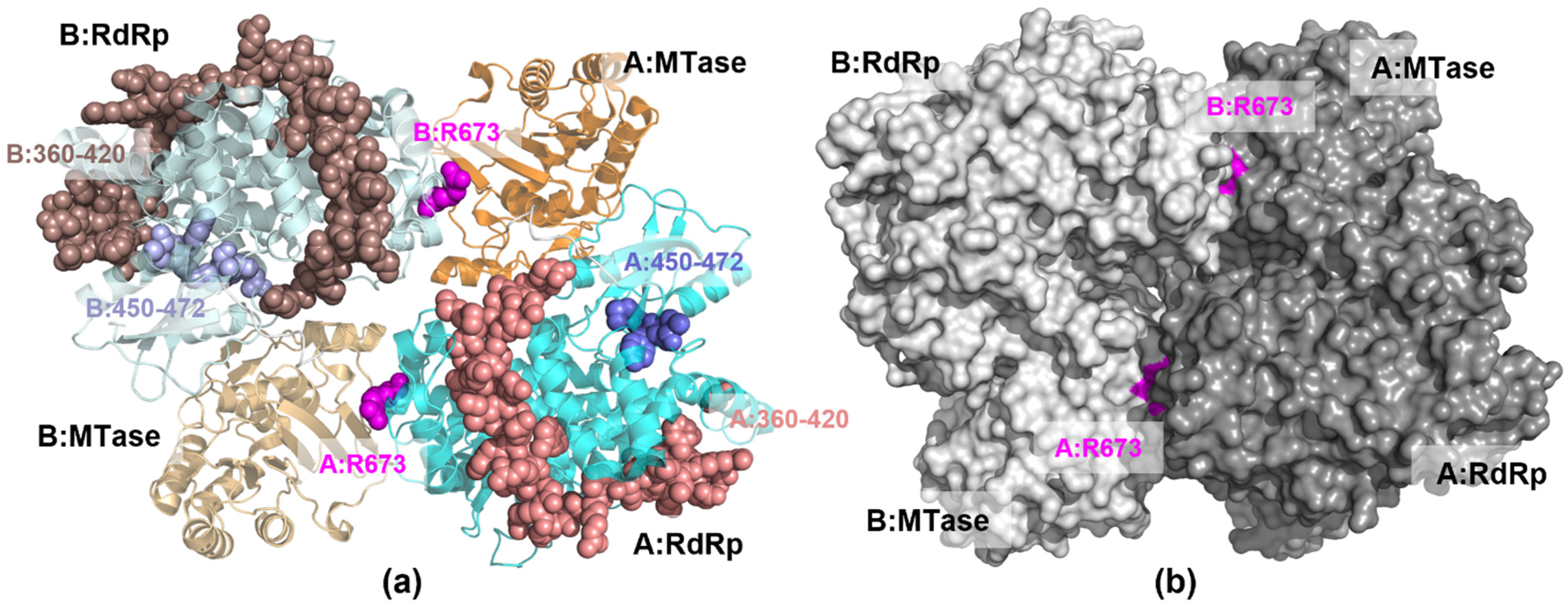 Crystals 13 00063 g007 Crystals 13 00063 g007