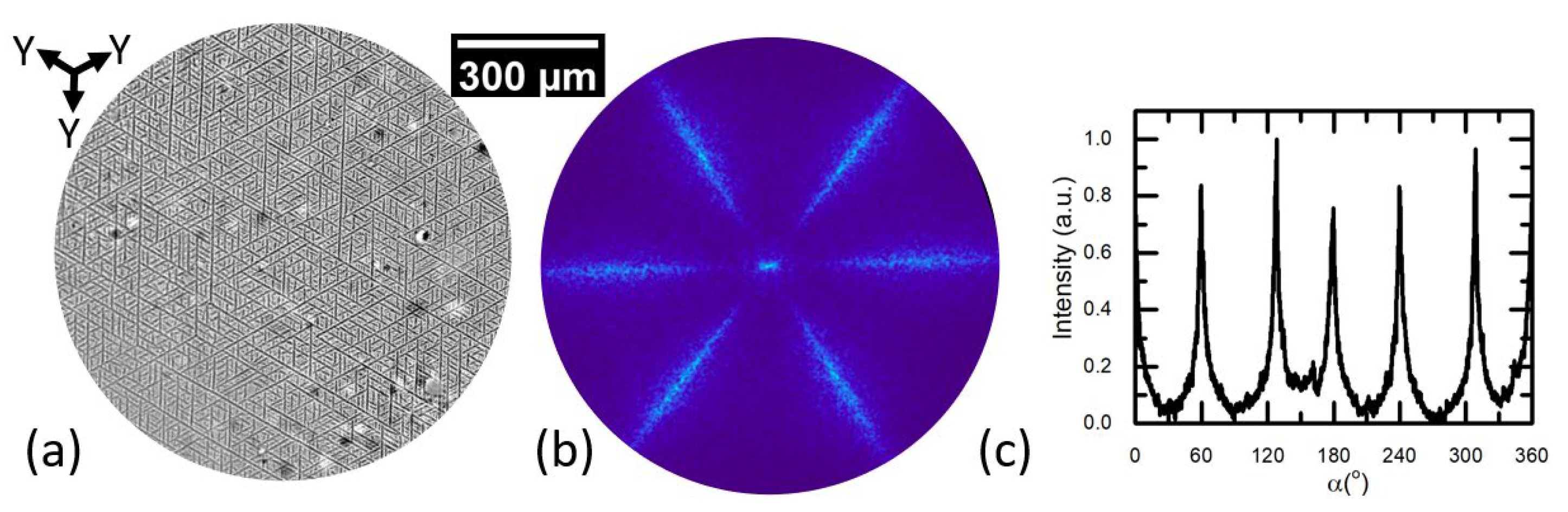 Crystals 13 00072 g005