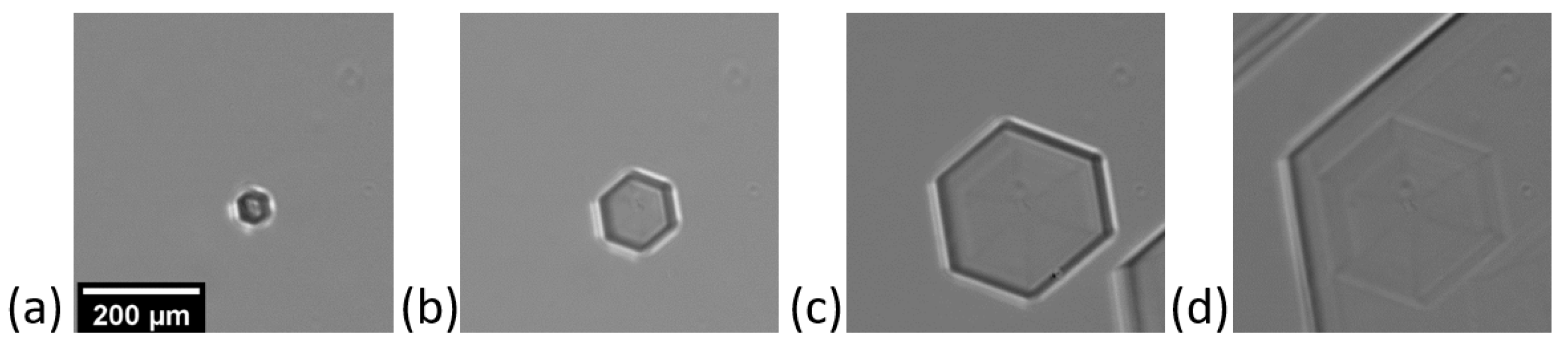 Crystals 13 00072 g007