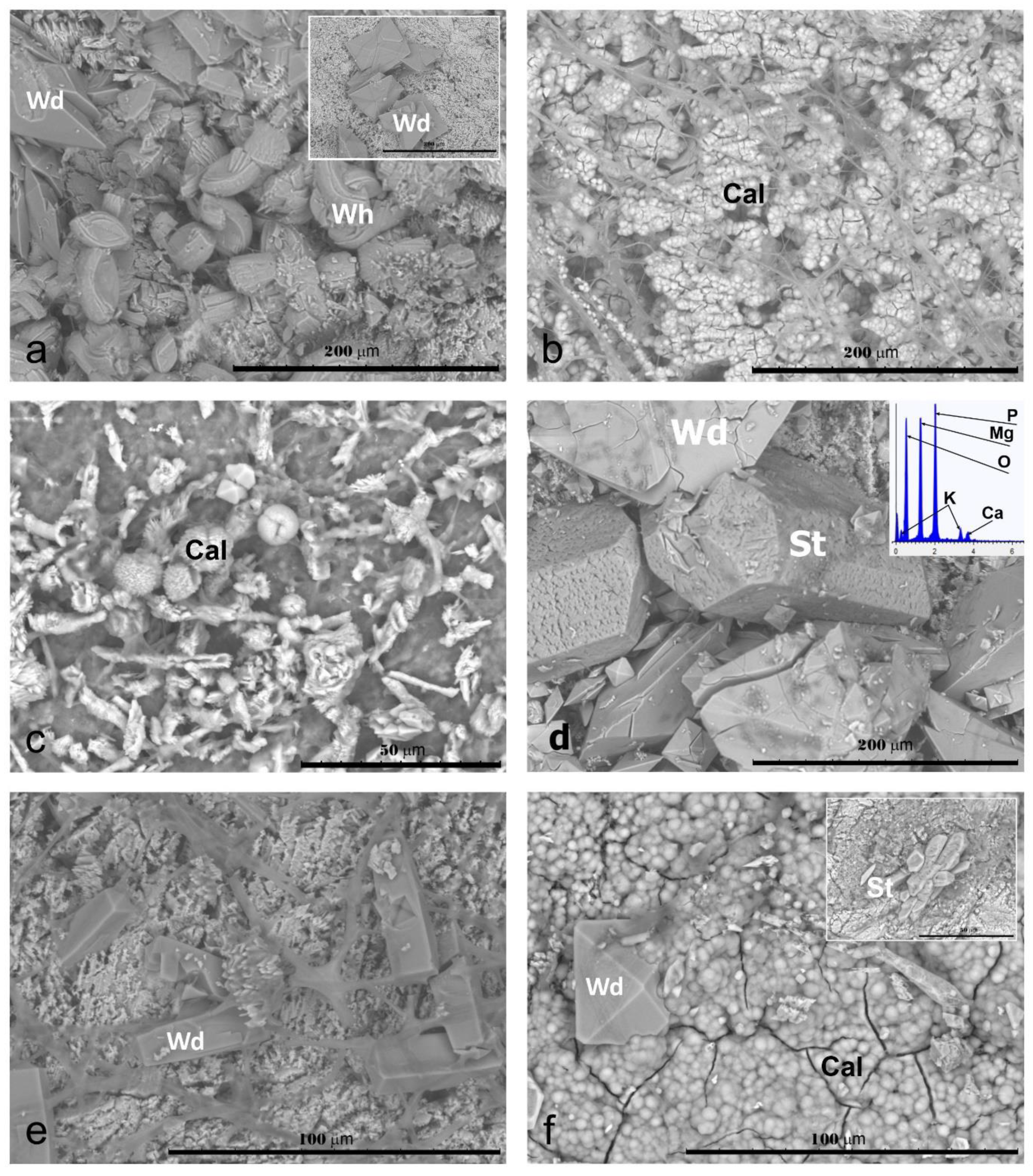 Crystals 13 00094 g002