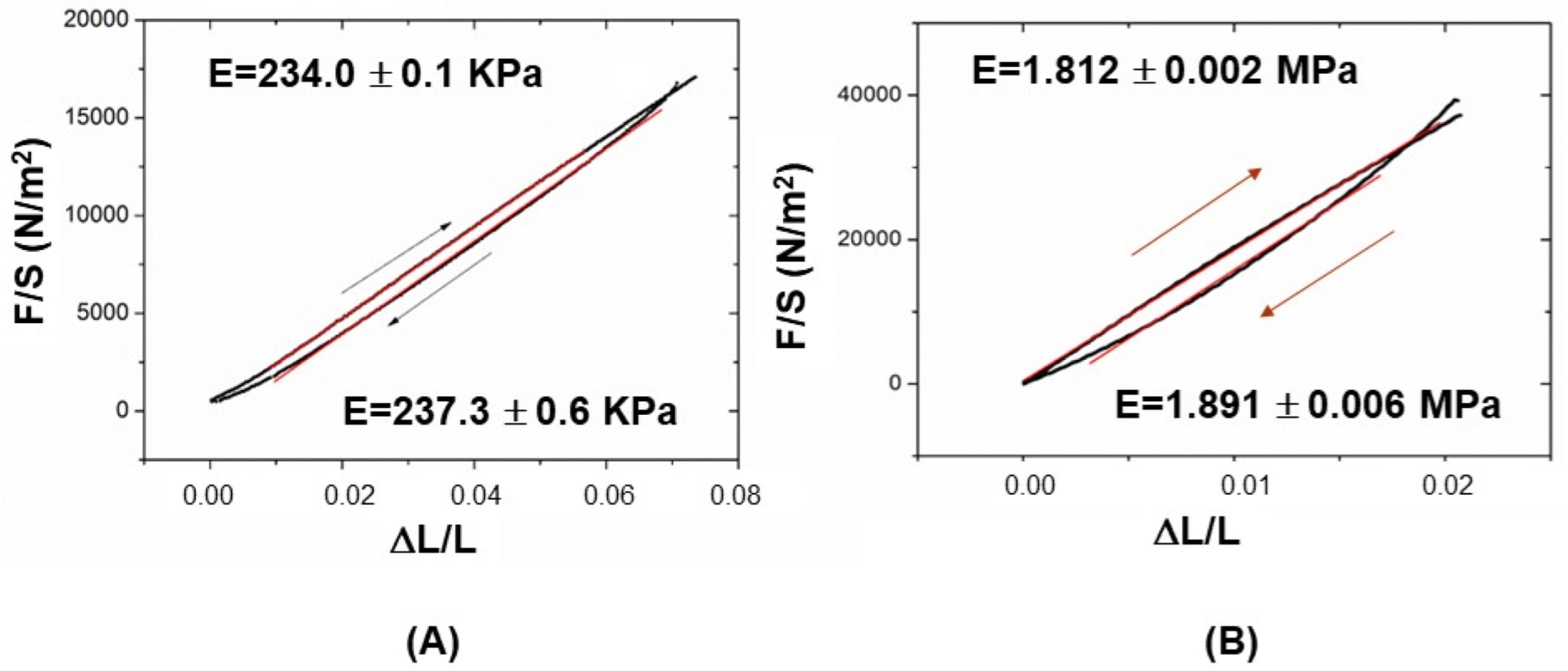 Crystals 13 00096 g008