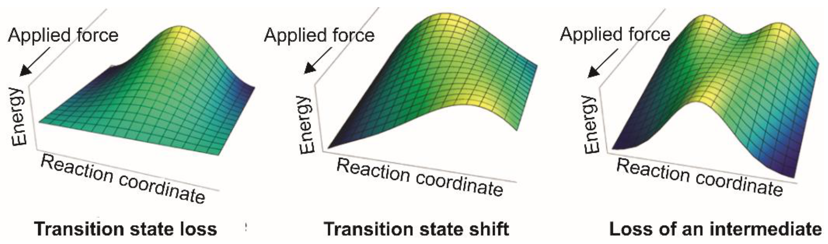 Crystals 13 00124 g006 Crystals 13 00124 g006