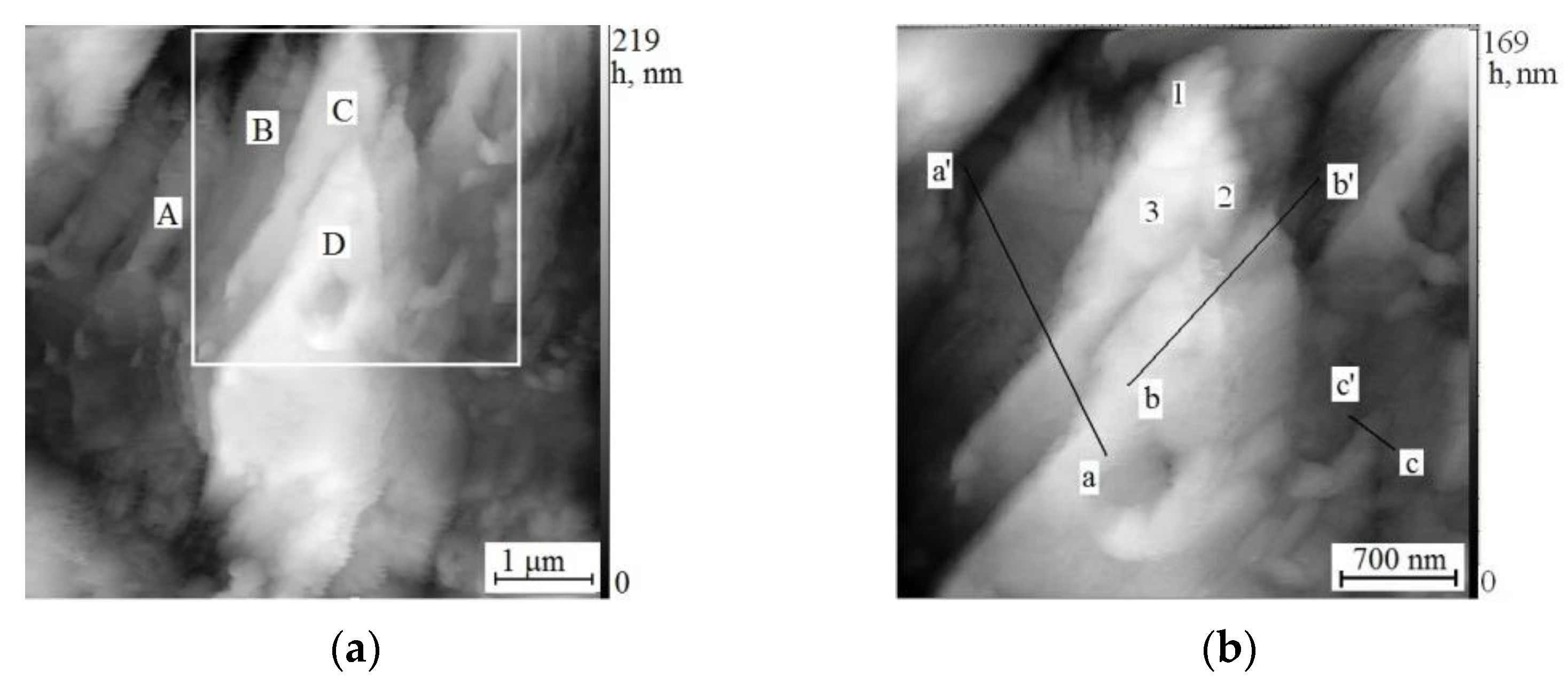 Crystals 13 00146 g006a Crystals 13 00146 g006a