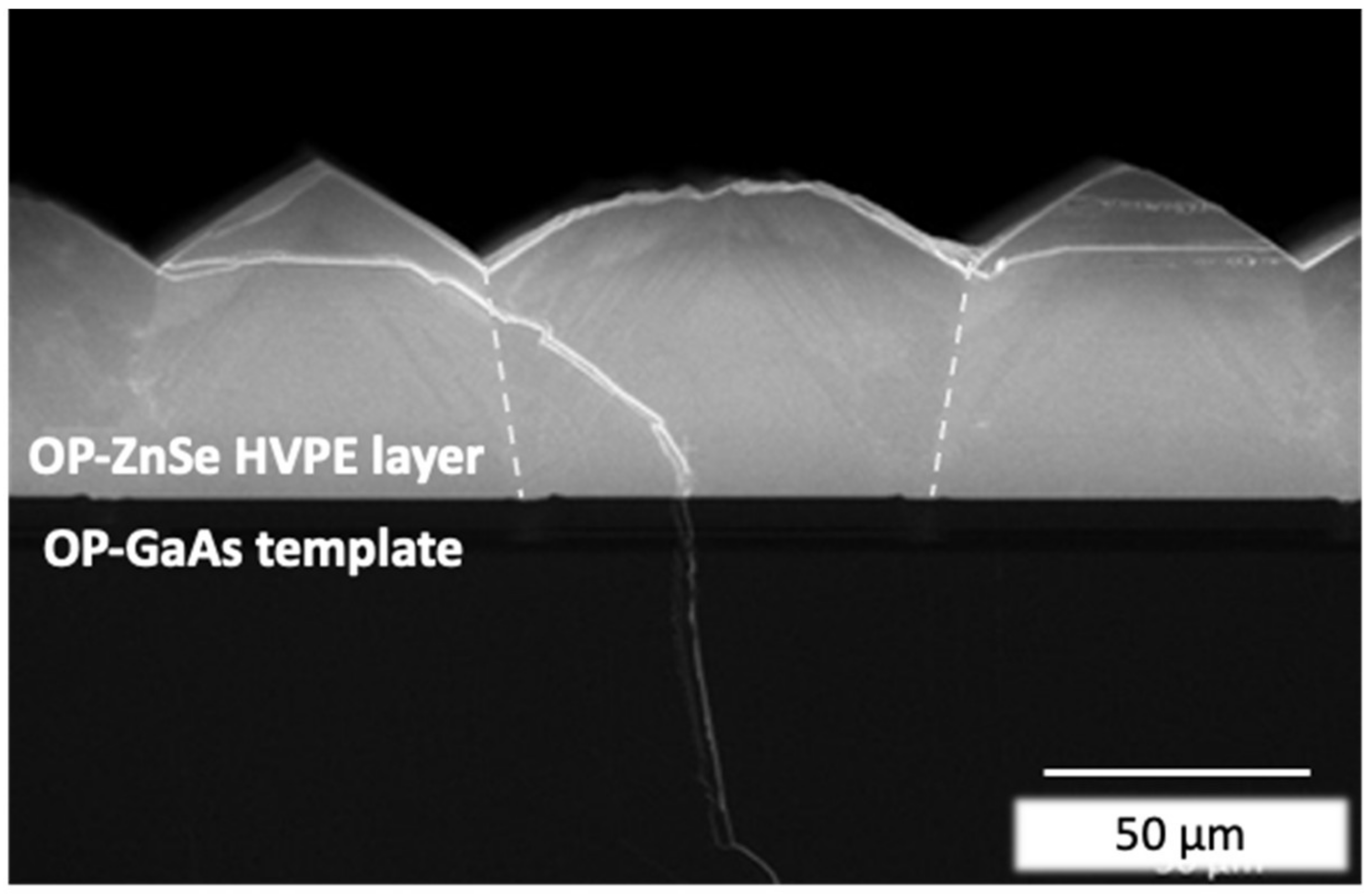 Crystals 13 00168 g009