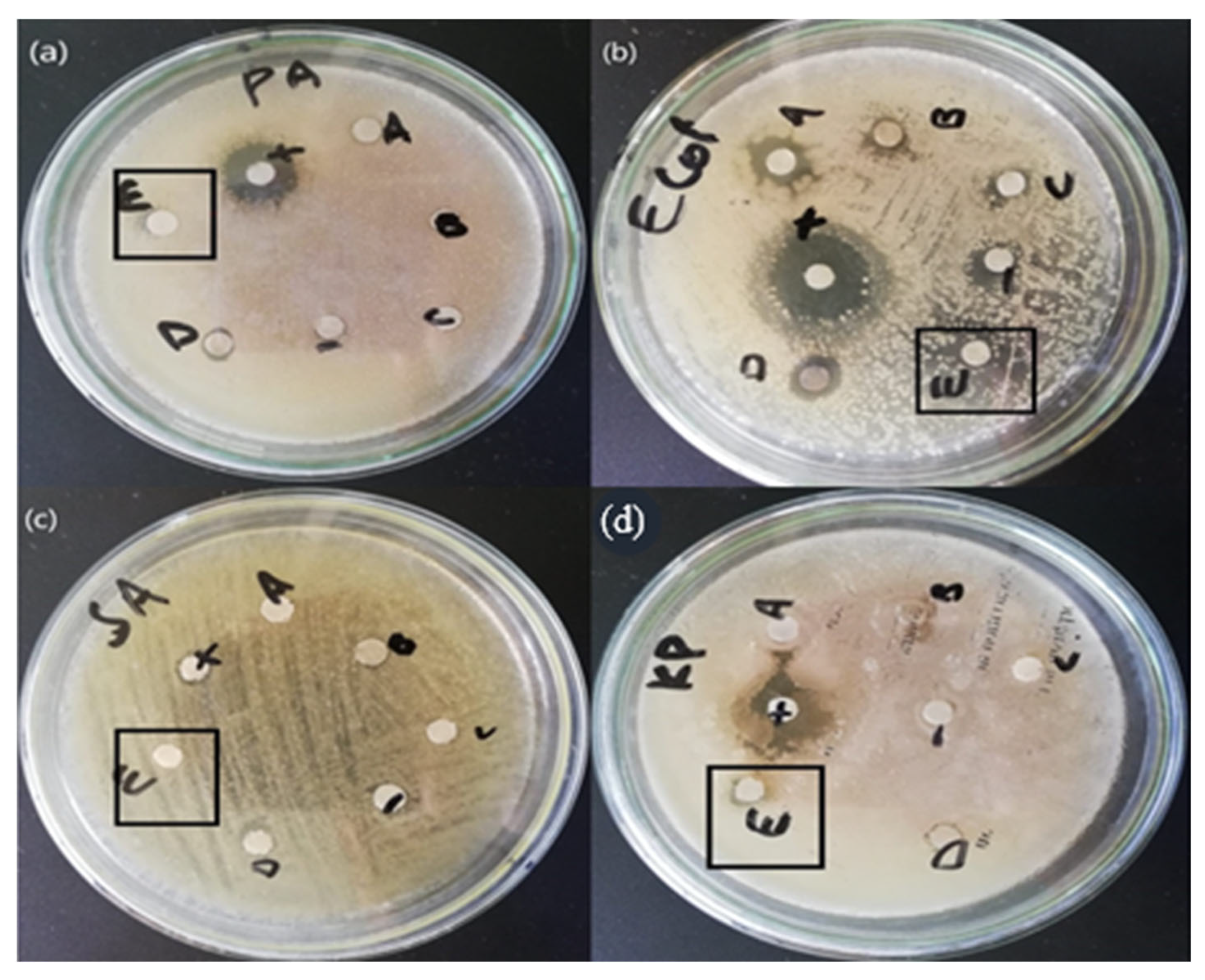 Crystals 13 00171 g007 Crystals 13 00171 g007