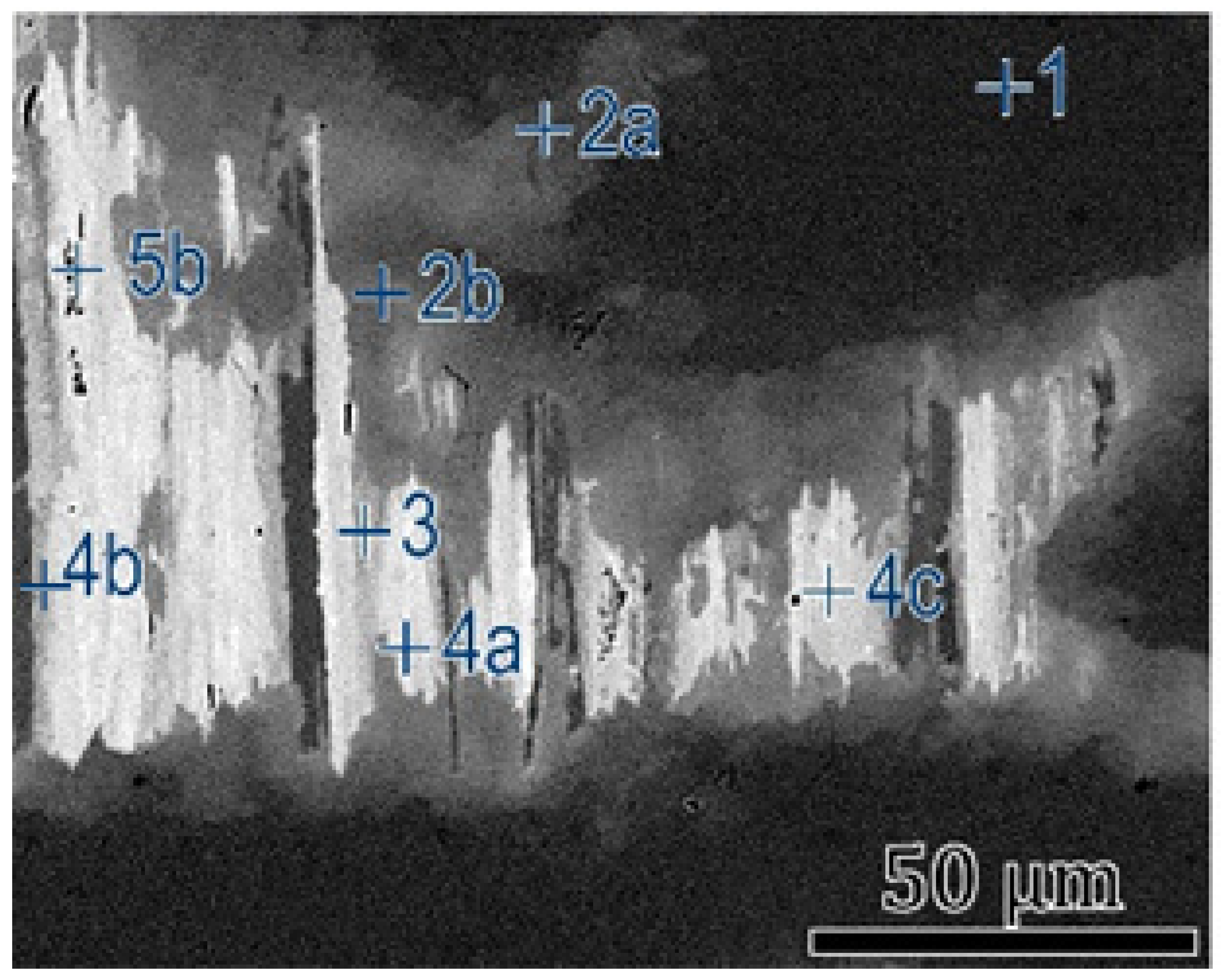 Crystals 13 00177 g004