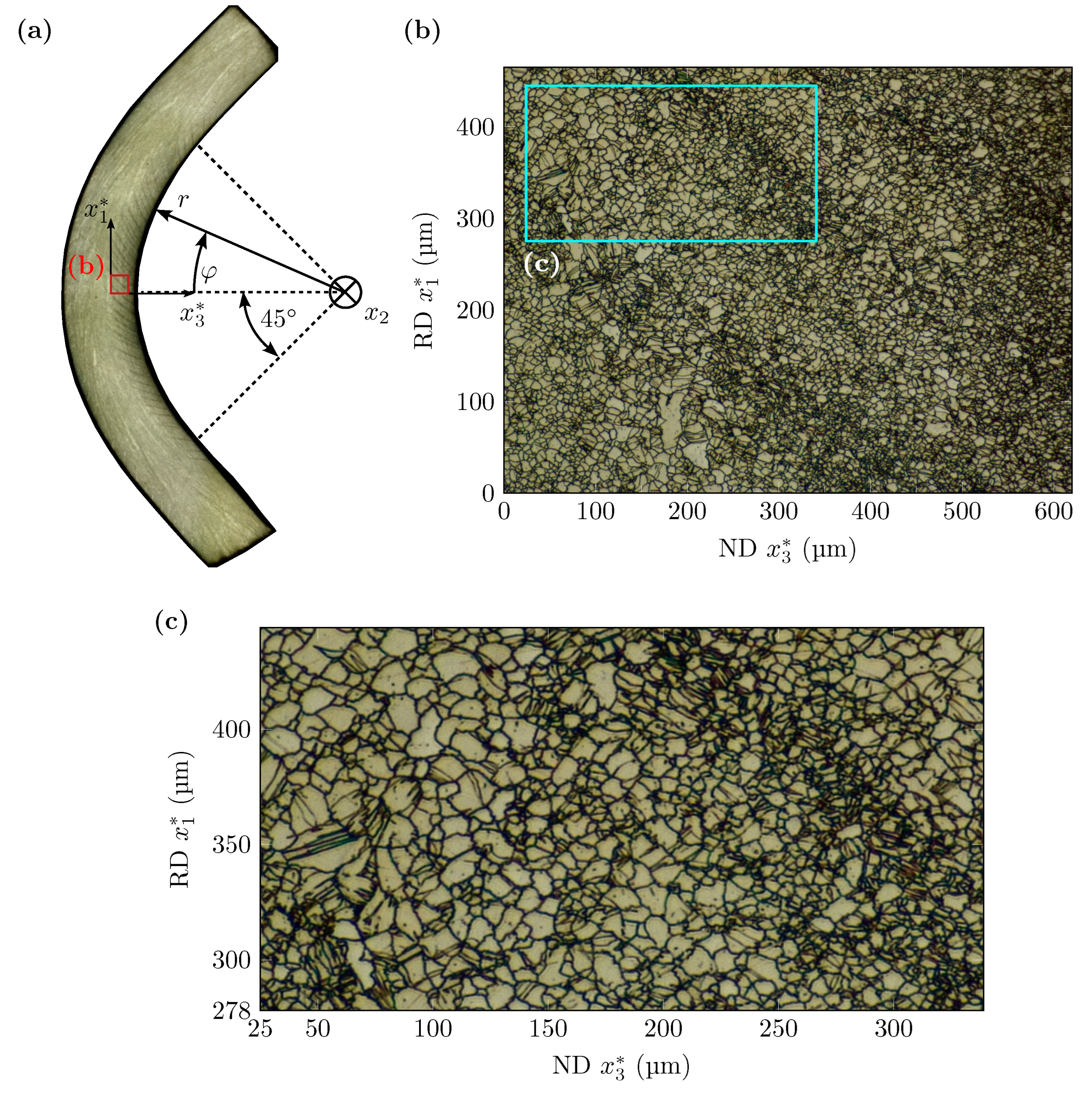Crystals 13 00184 g006
