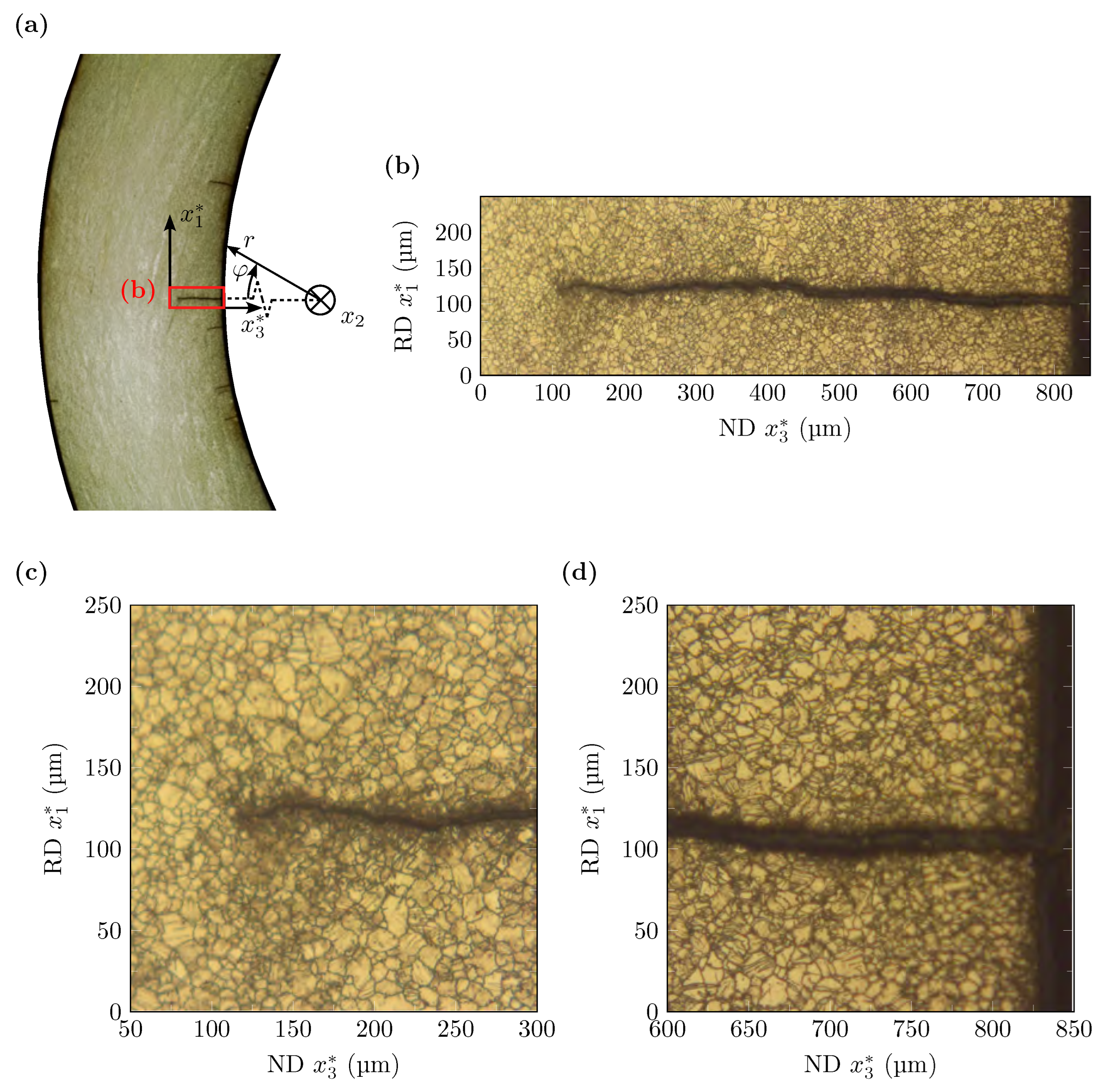 Crystals 13 00184 g009