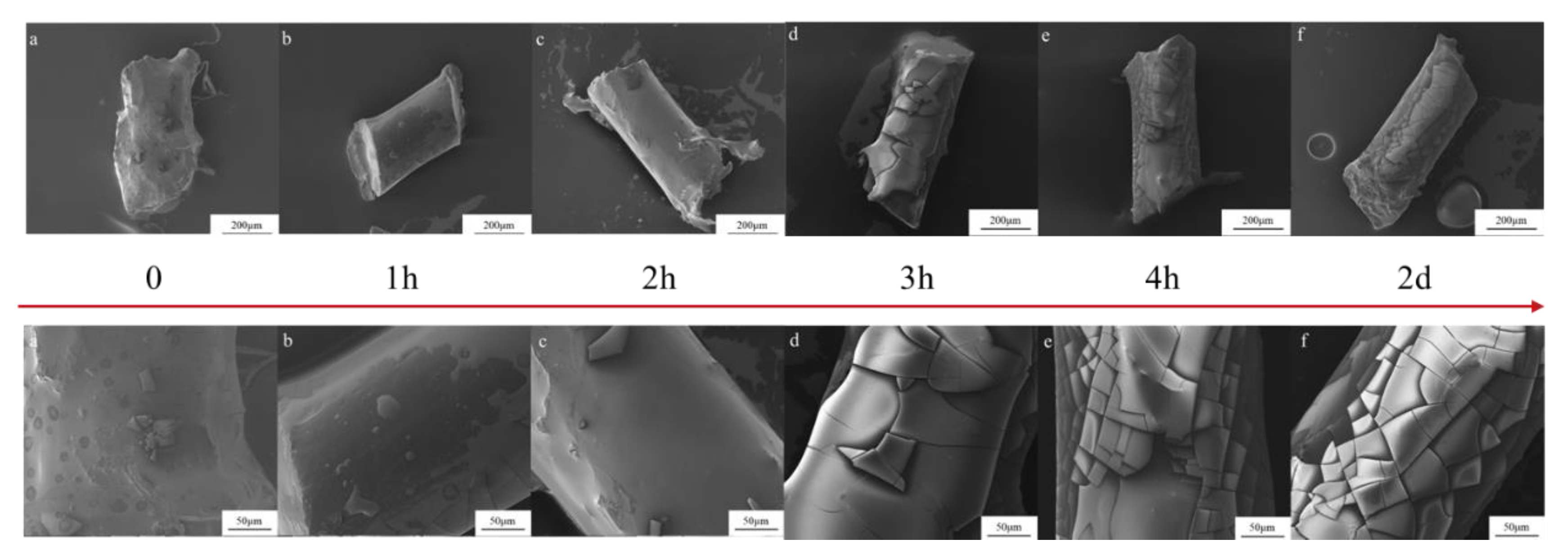Crystals 13 00194 g004
