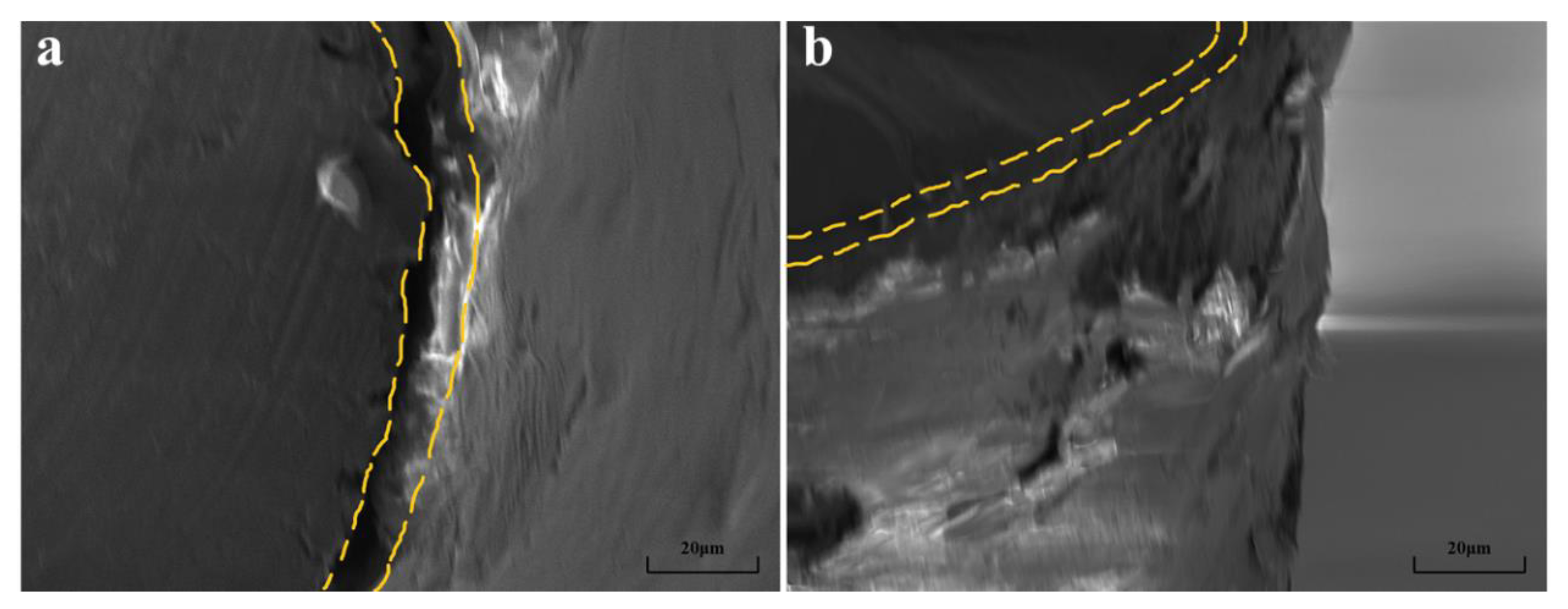 Crystals 13 00194 g005