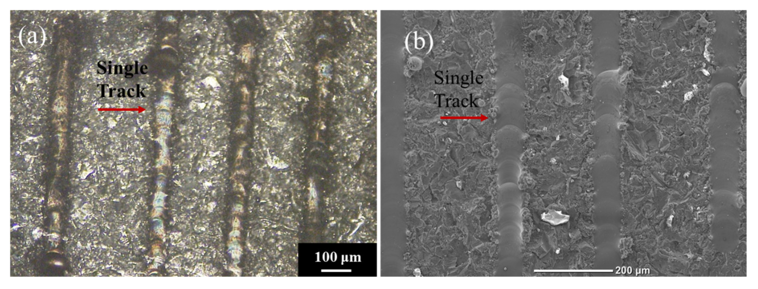 Crystals 13 00215 g005