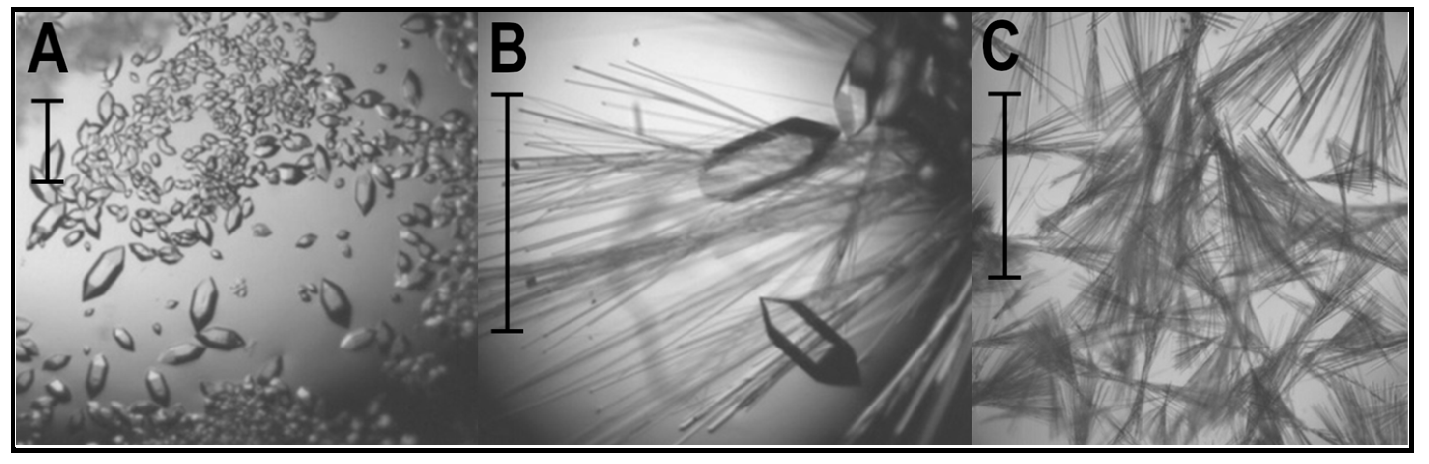 Crystals 13 00218 g001 Crystals 13 00218 g001