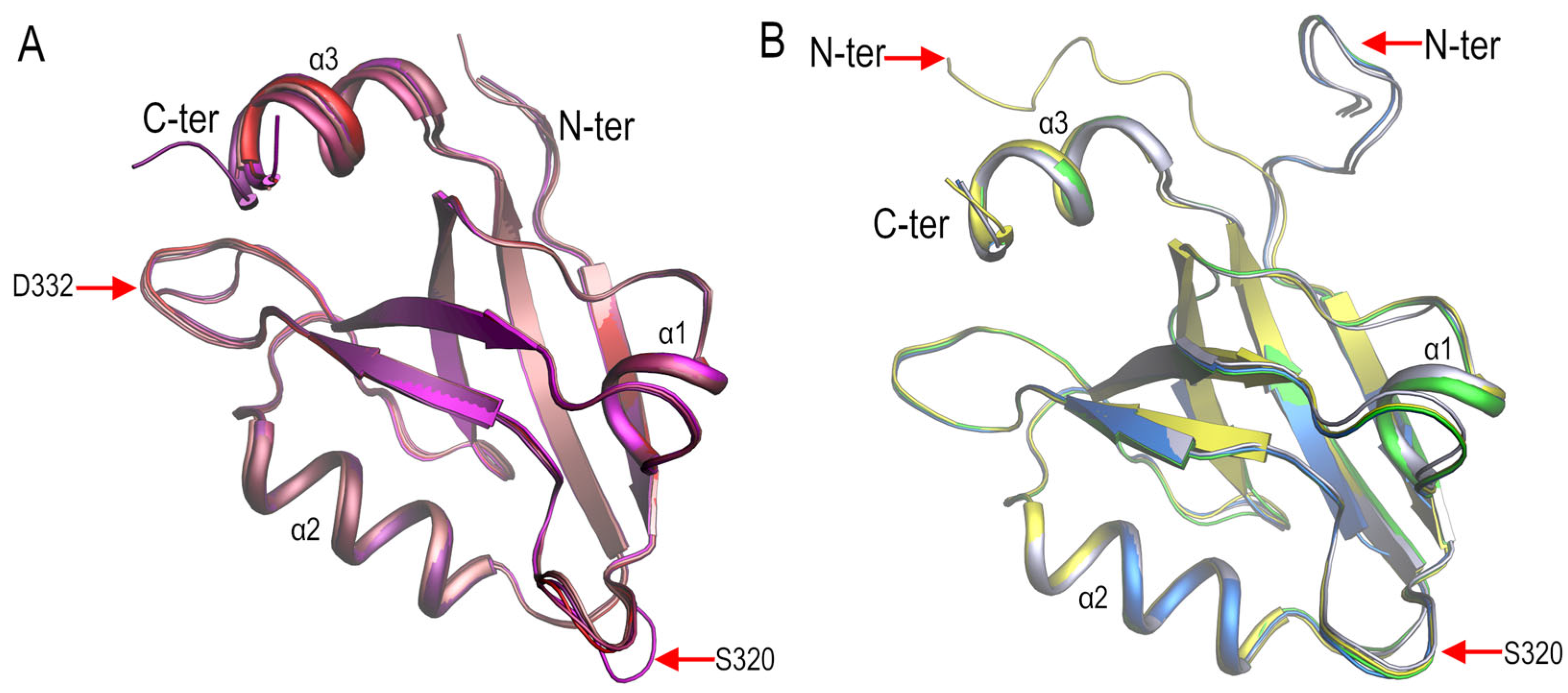 Crystals 13 00218 g002 Crystals 13 00218 g002