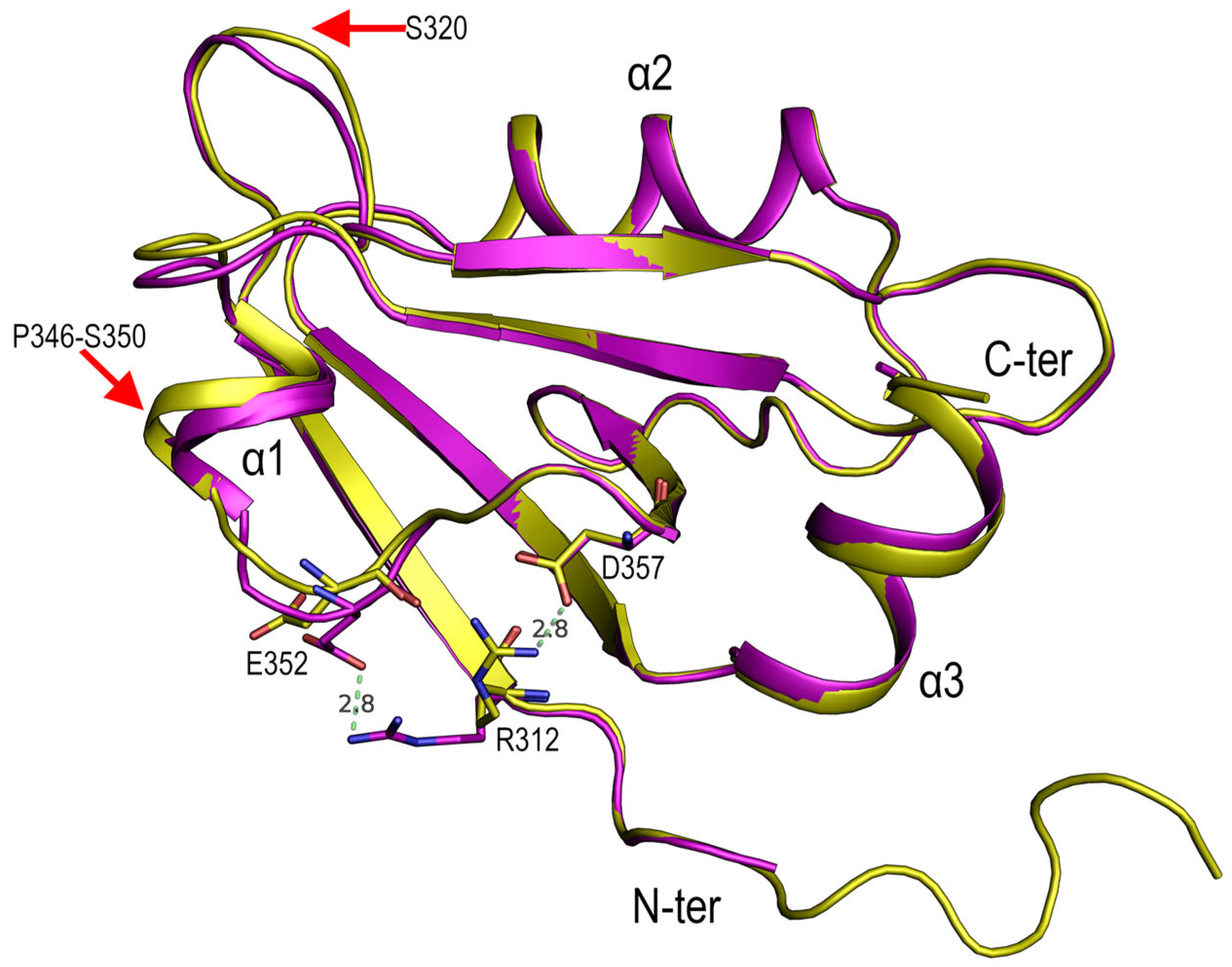 Crystals 13 00218 g004 Crystals 13 00218 g004