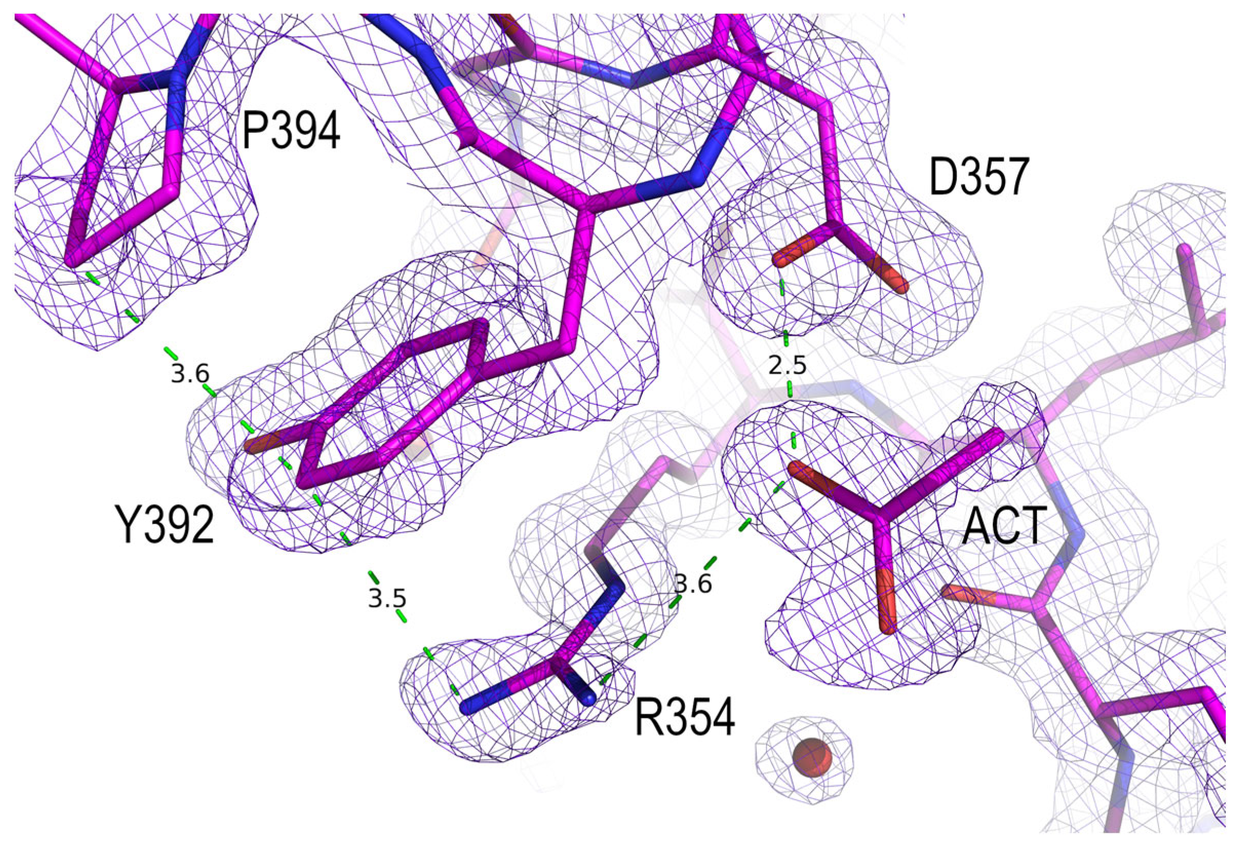 Crystals 13 00218 g005 Crystals 13 00218 g005