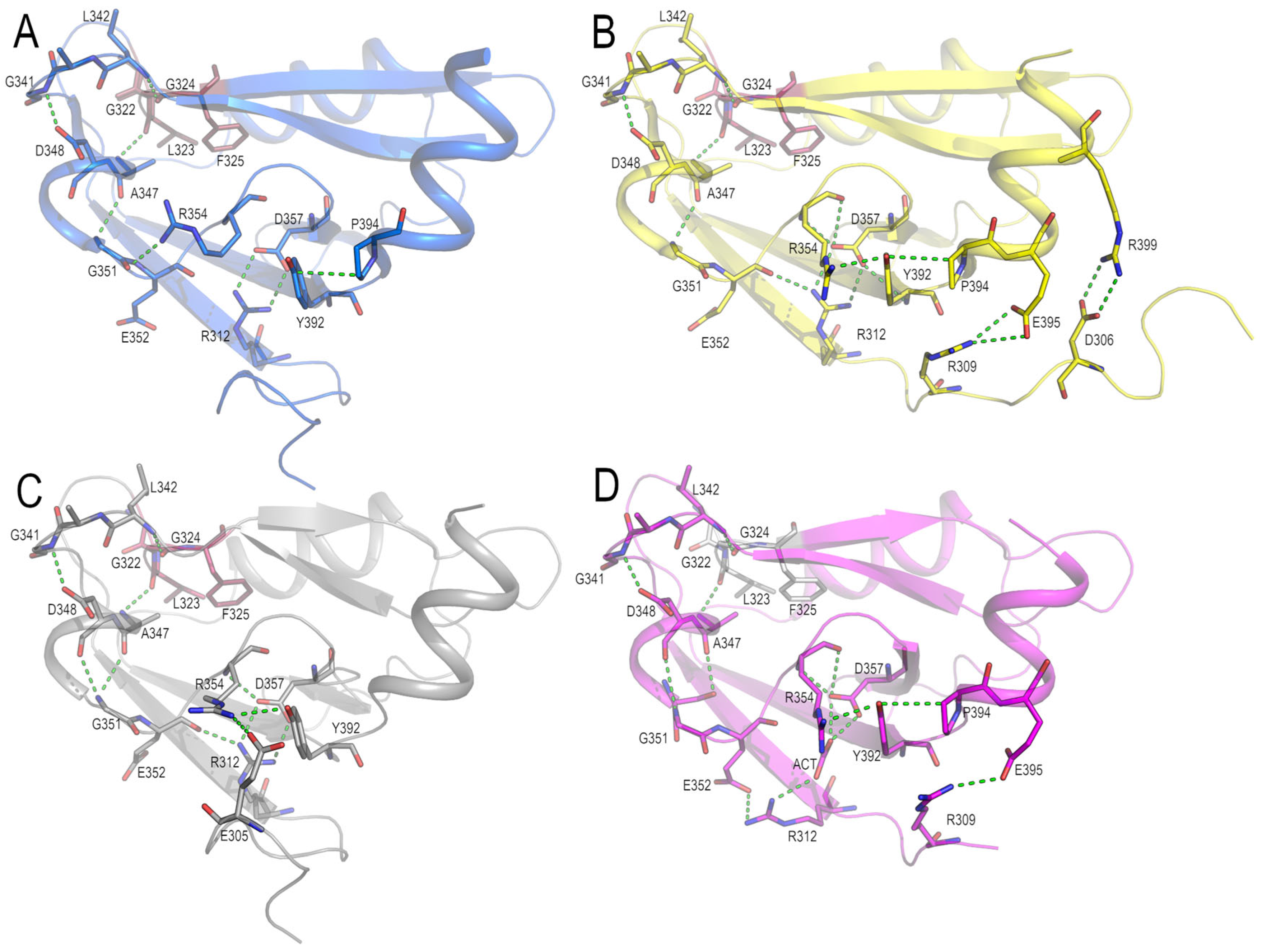 Crystals 13 00218 g006 Crystals 13 00218 g006