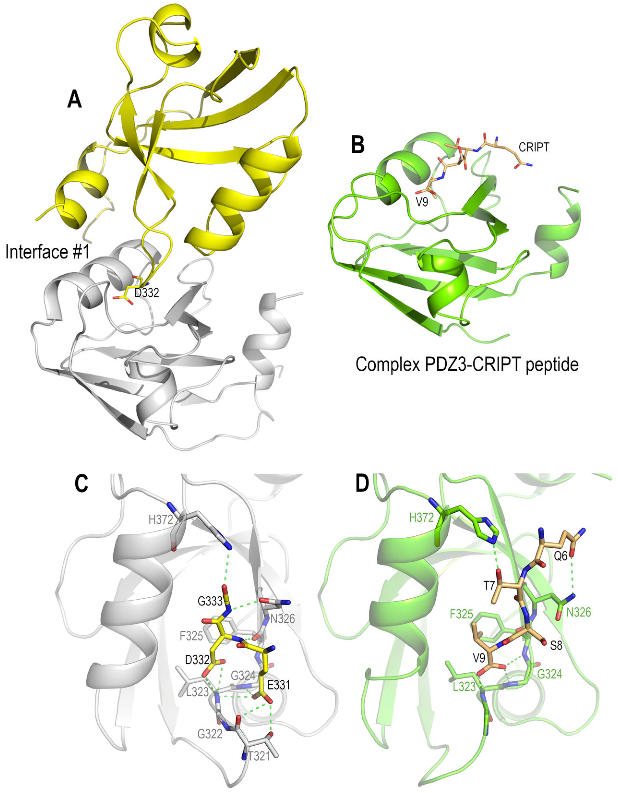 Crystals 13 00218 g007 Crystals 13 00218 g007