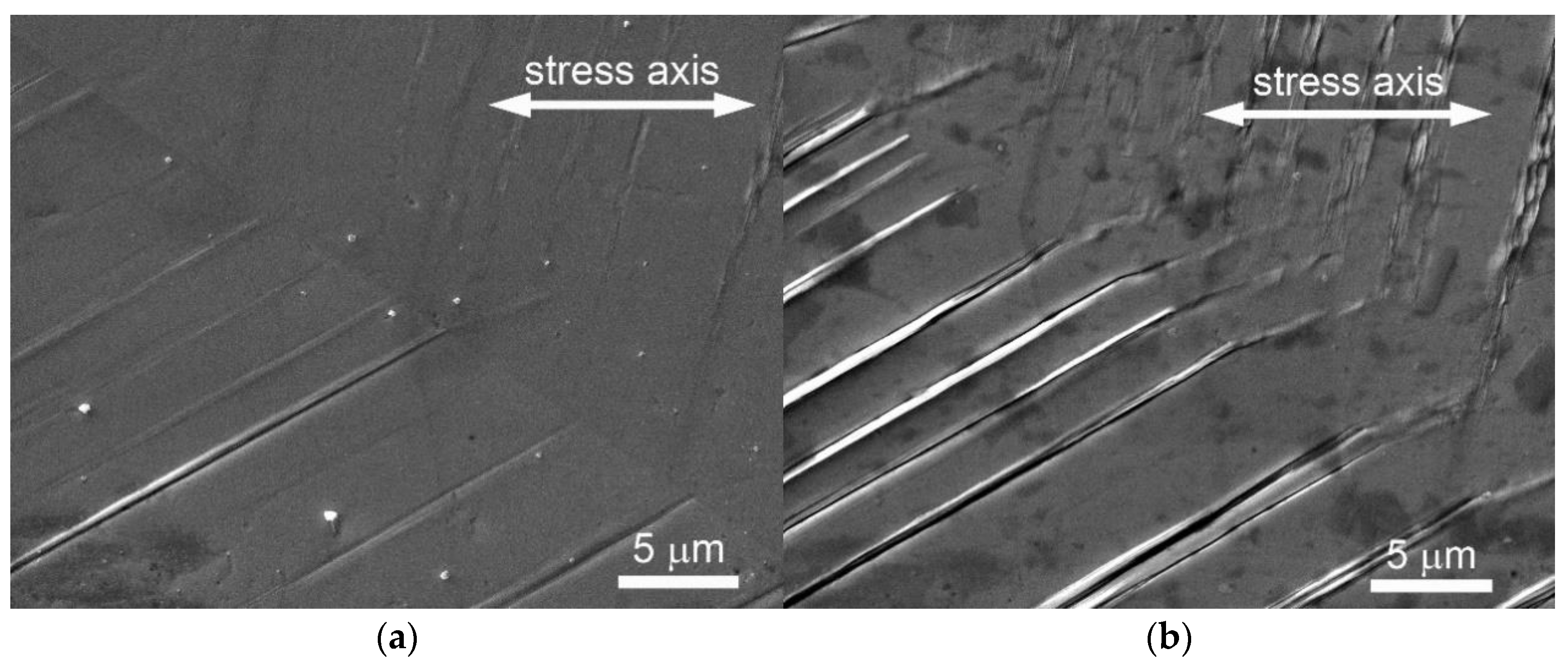 Crystals free full text role of persistent slip bands and