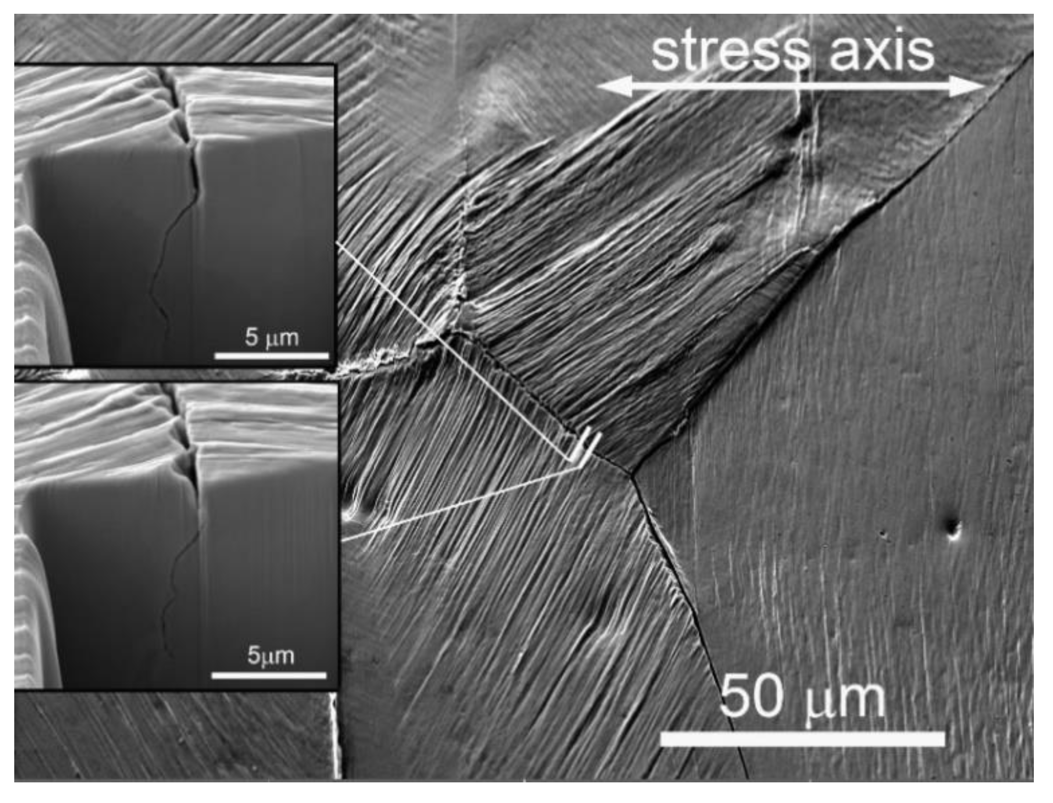 Crystals Free Full Text Role of Persistent Slip Bands and Crystals Free Full Text Role of Persistent Slip Bands and