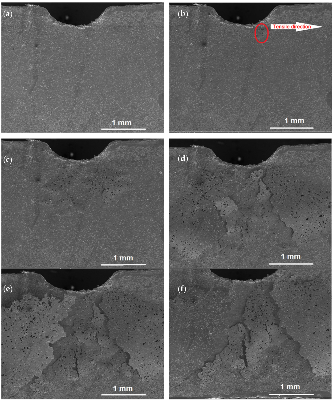 Crystals 13 00225 g008 Crystals 13 00225 g008