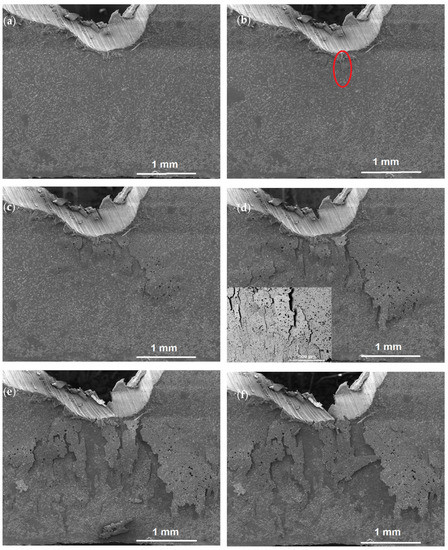 Study of Microstructure Regulation and In Situ Tensile Performance of ...