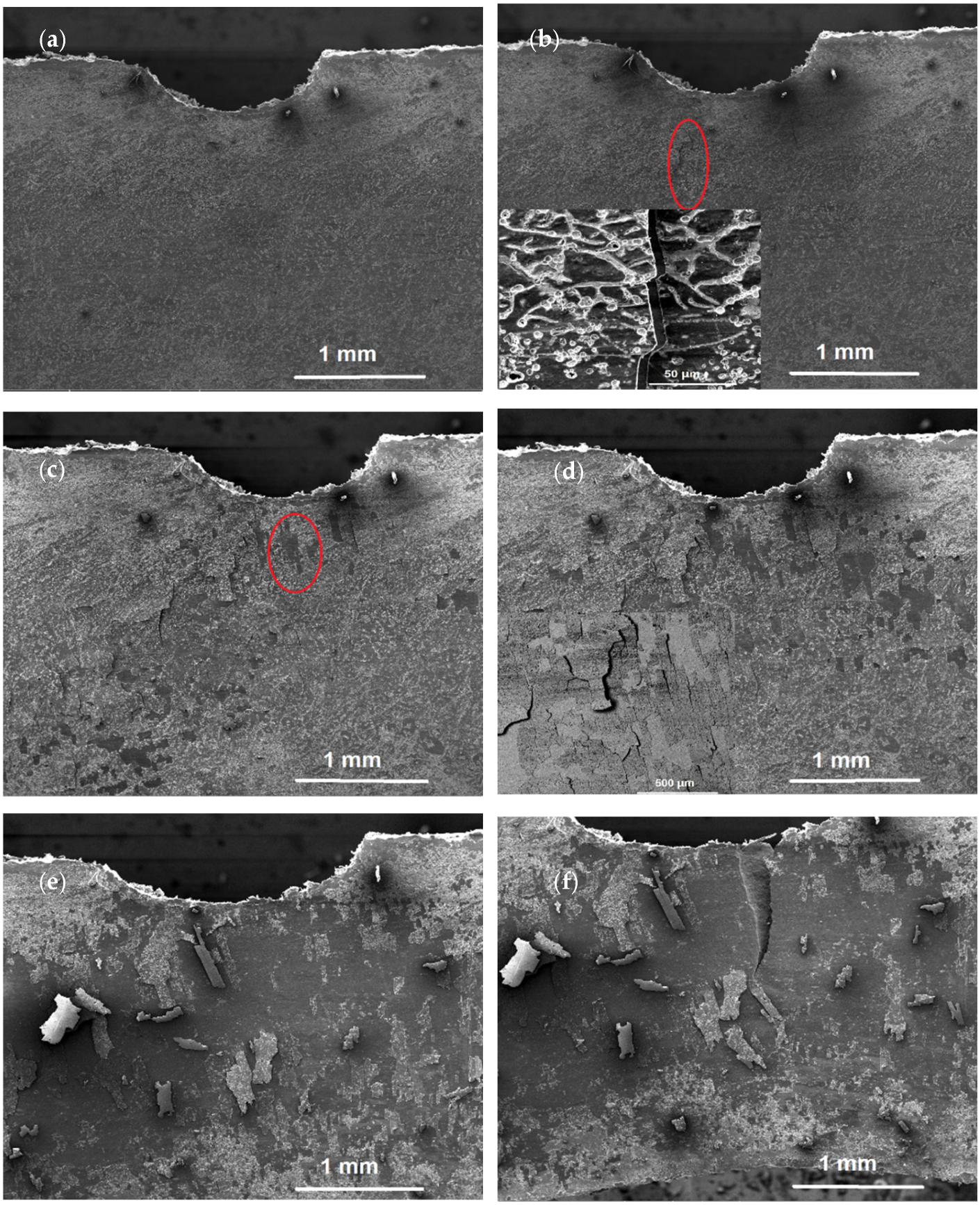 Crystals 13 00225 g012 Crystals 13 00225 g012