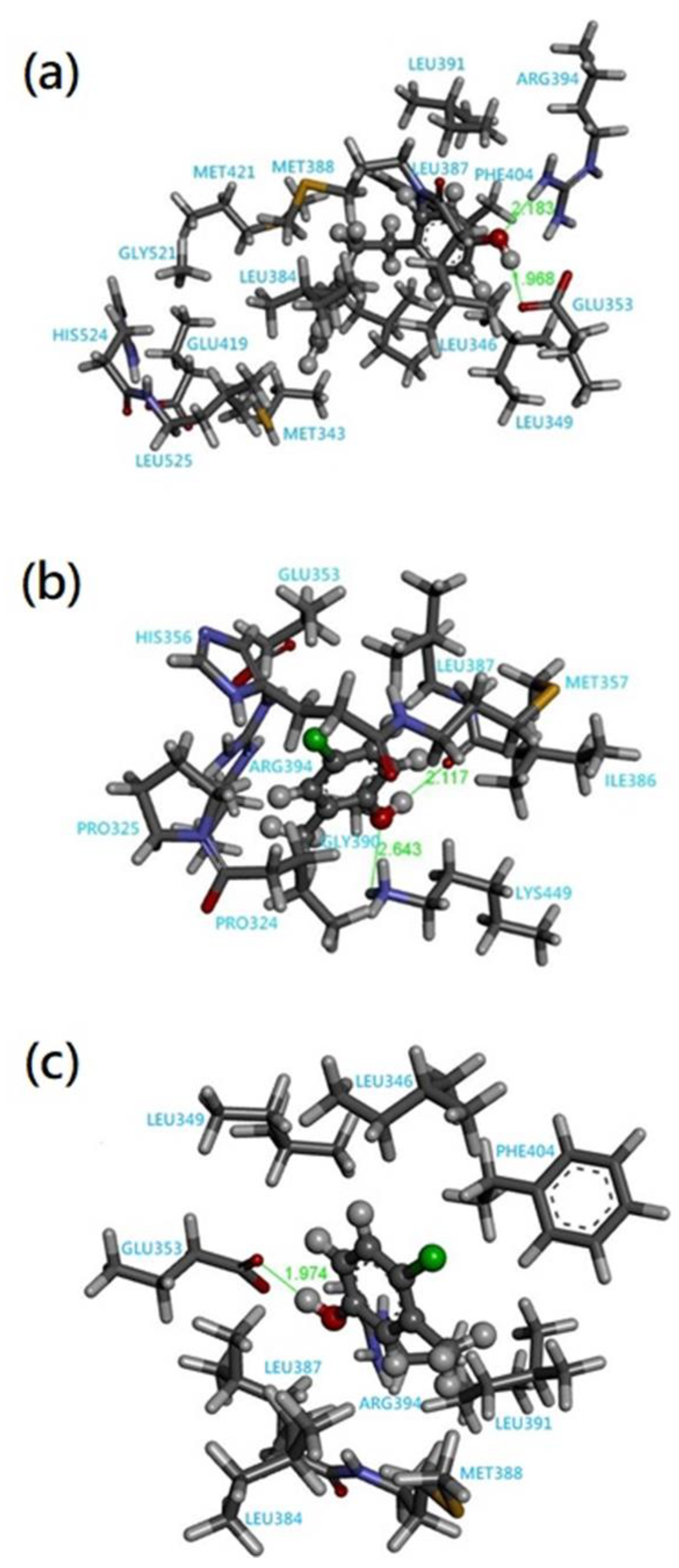 Crystals 13 00228 g003