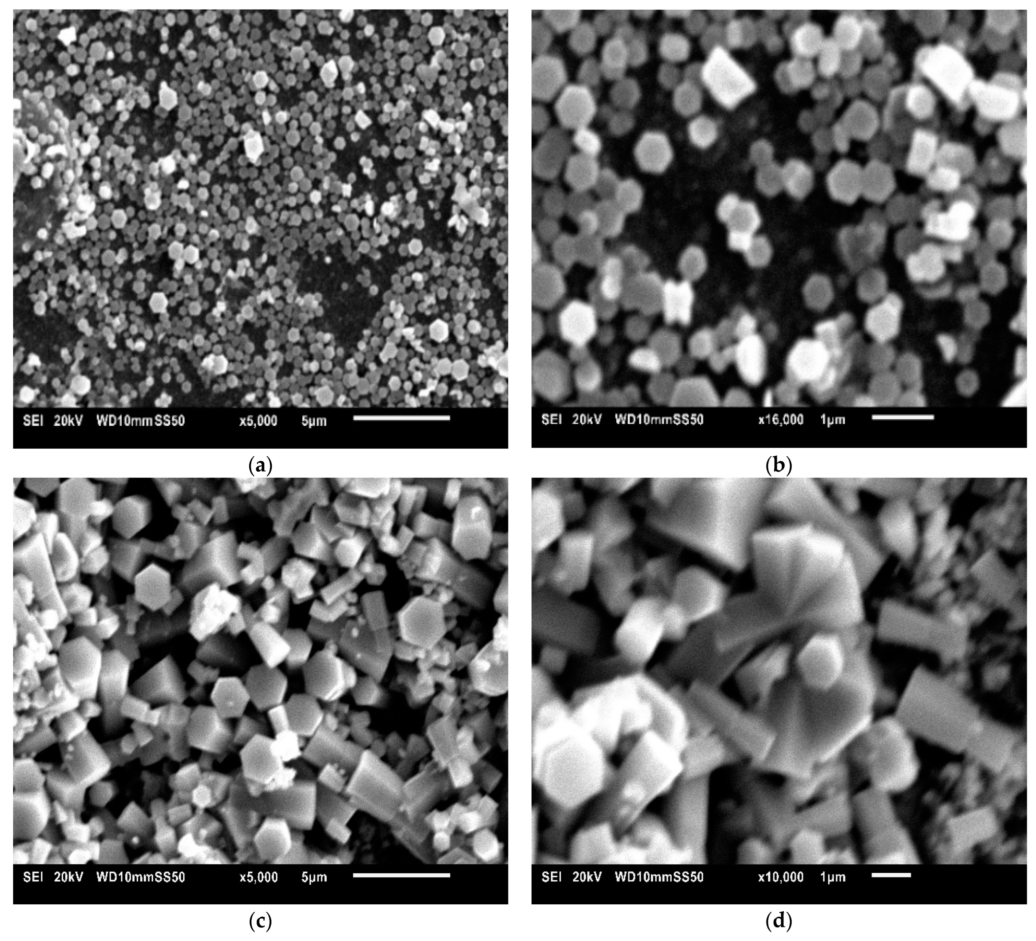 Crystals 13 00229 g005a