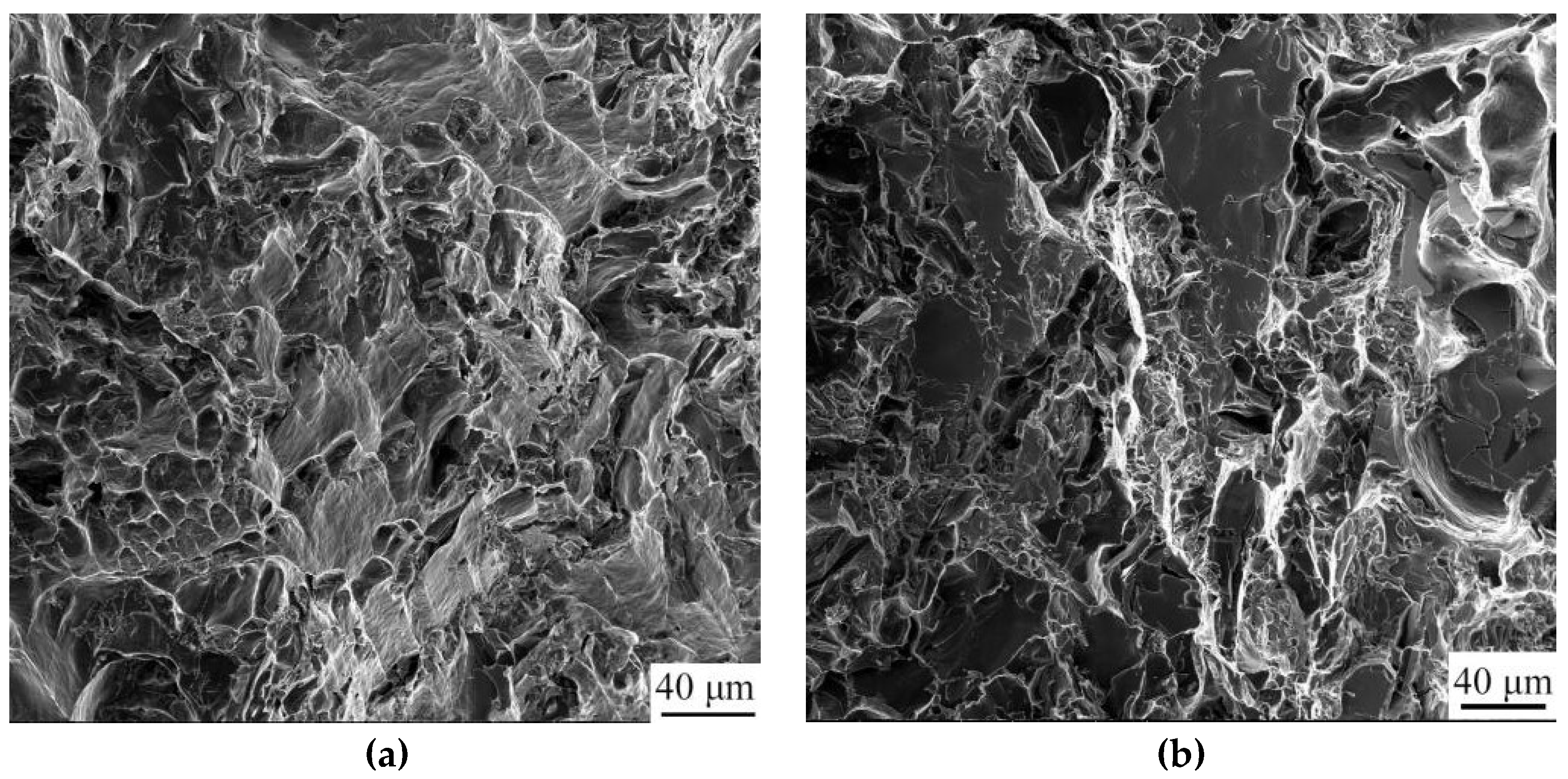 Crystals 13 00236 g010