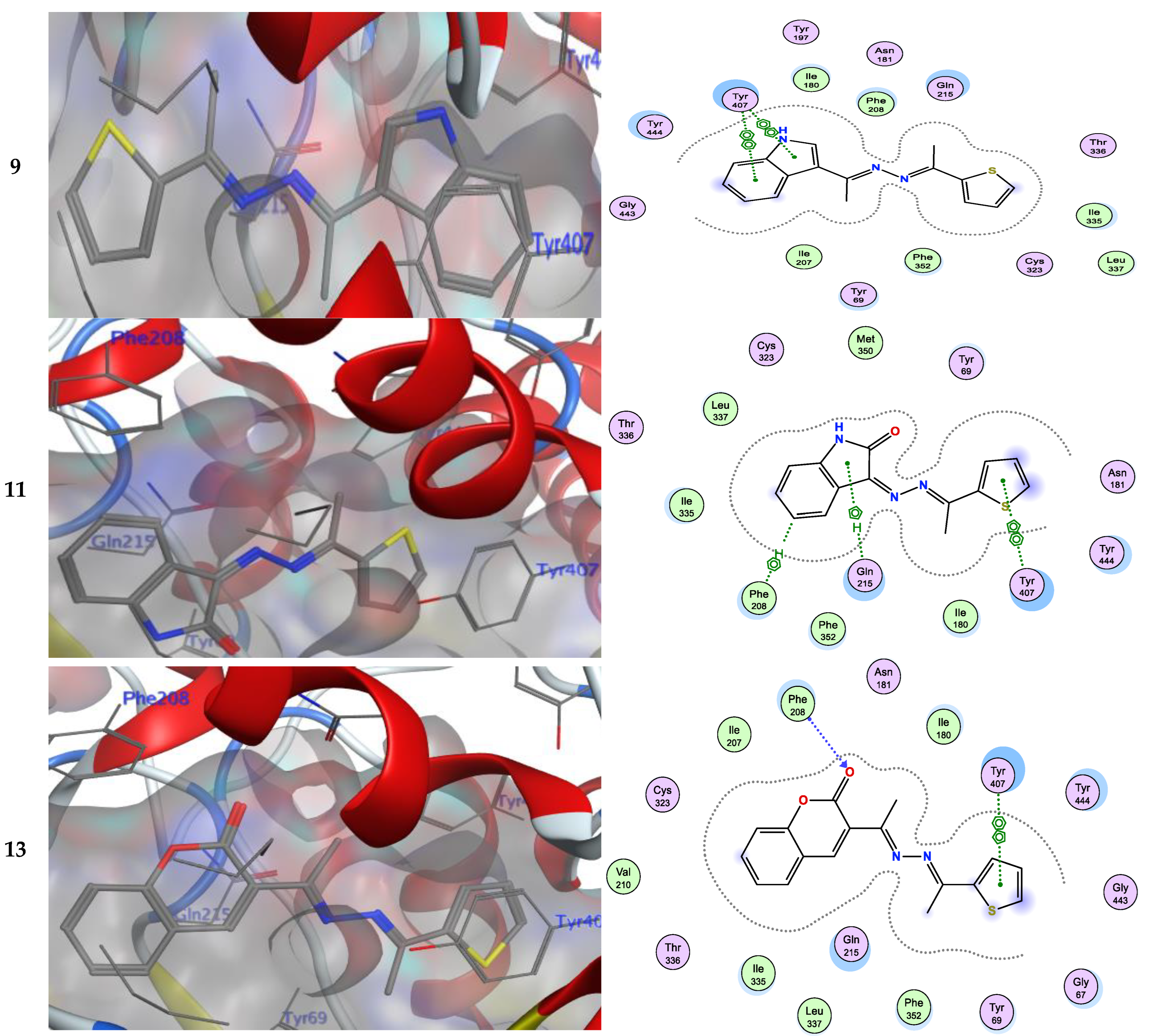 Crystals 13 00260 g002d Crystals 13 00260 g002d