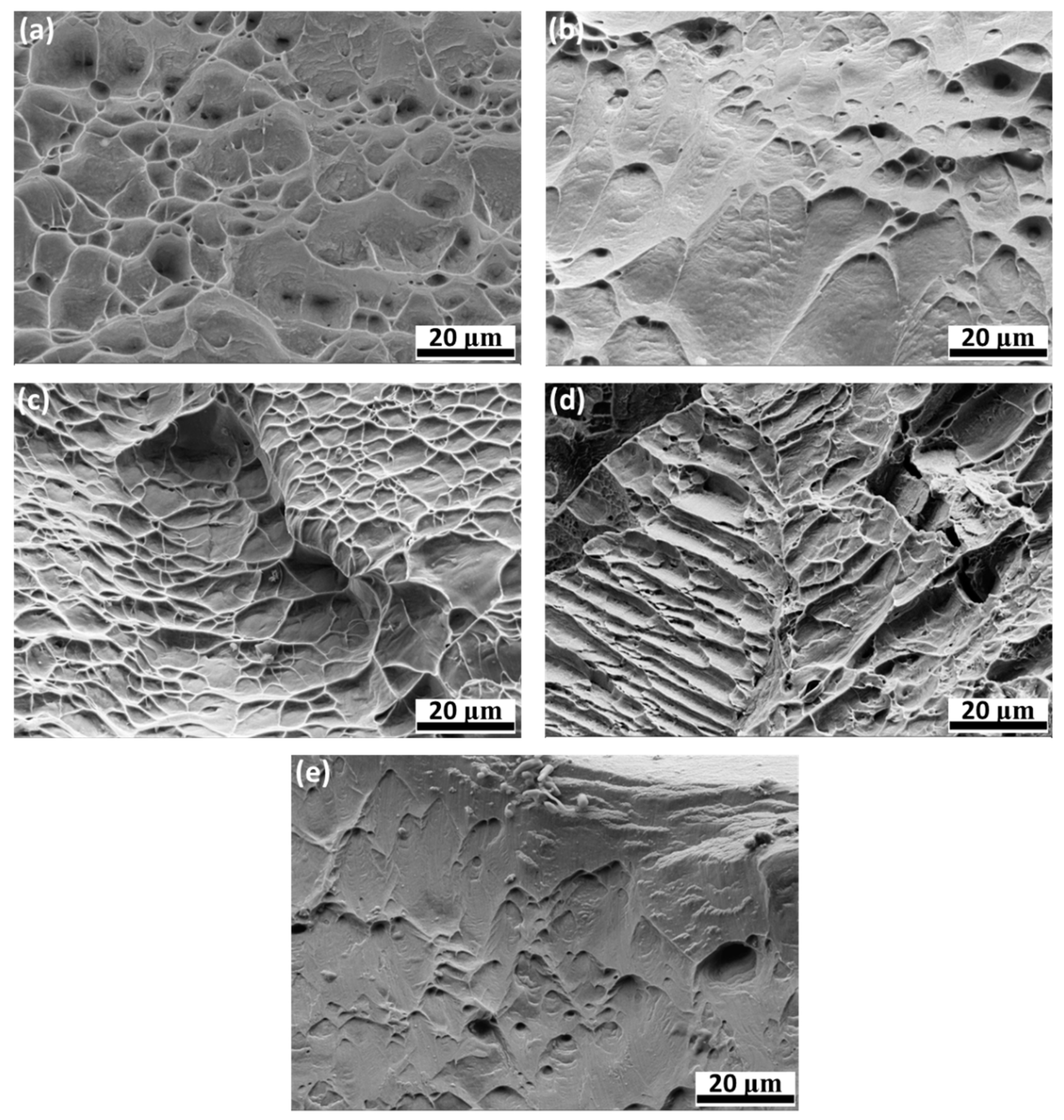 Crystals 13 00269 g005