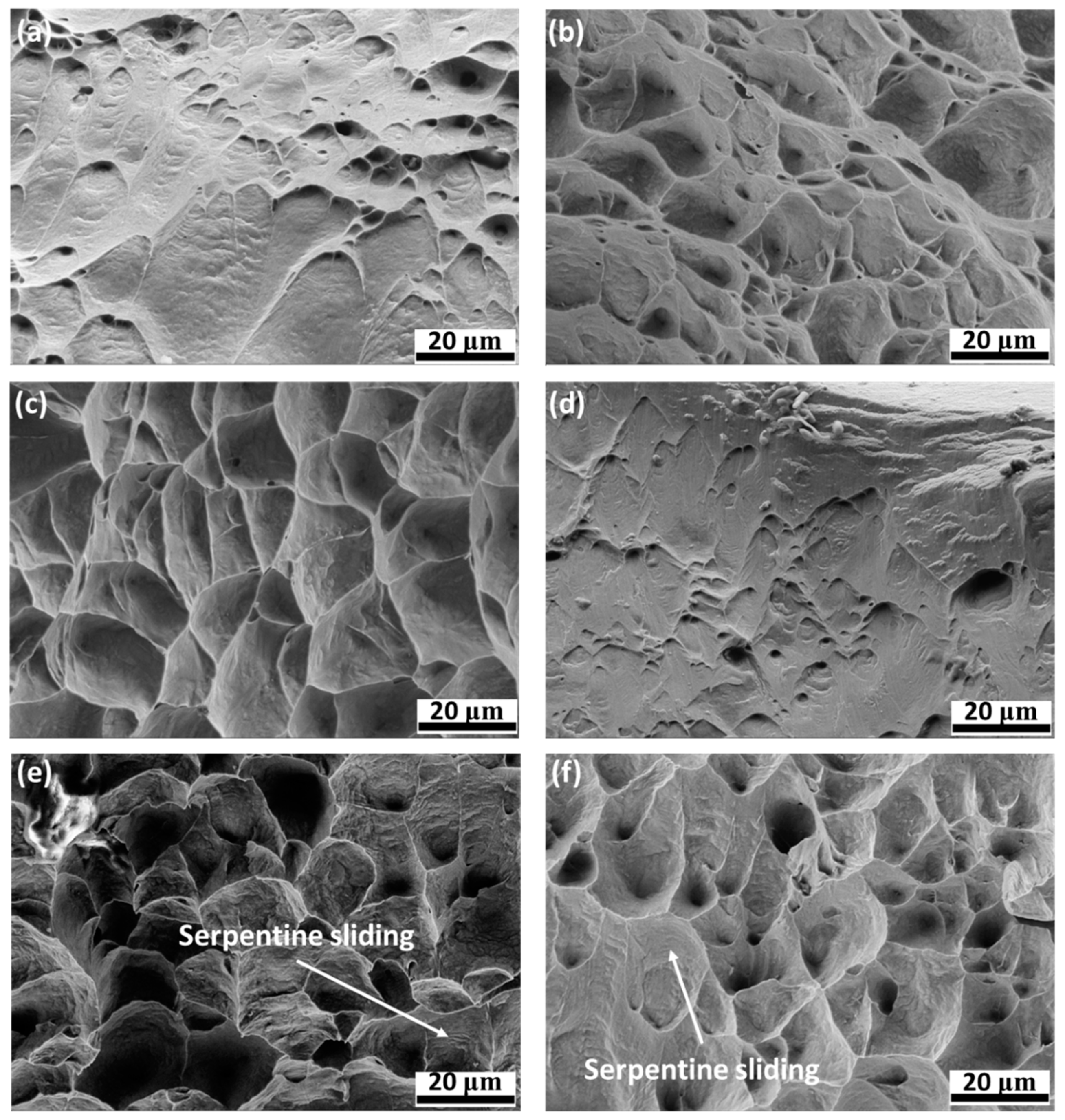 Crystals 13 00269 g006