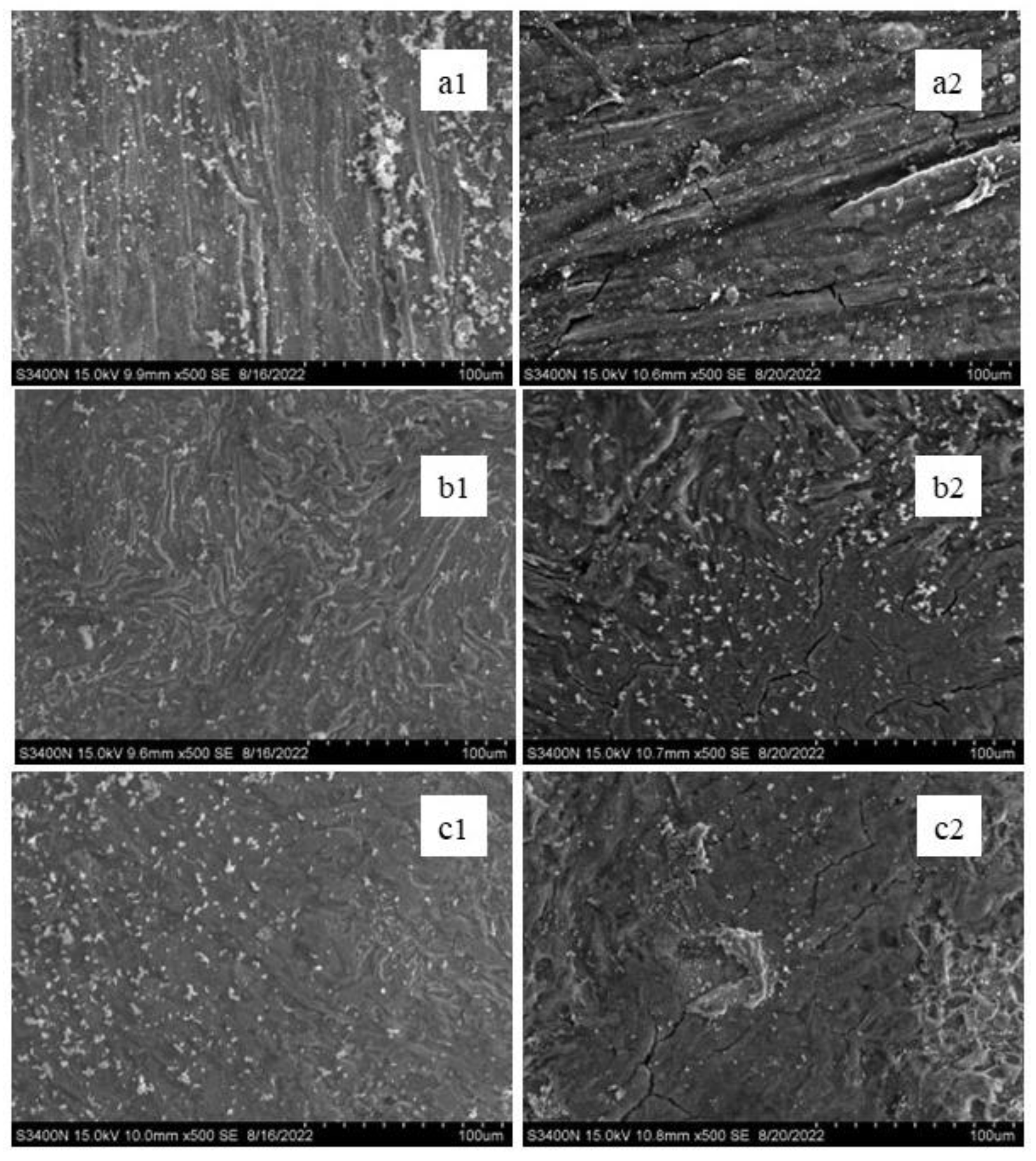 Crystals 13 00299 g013