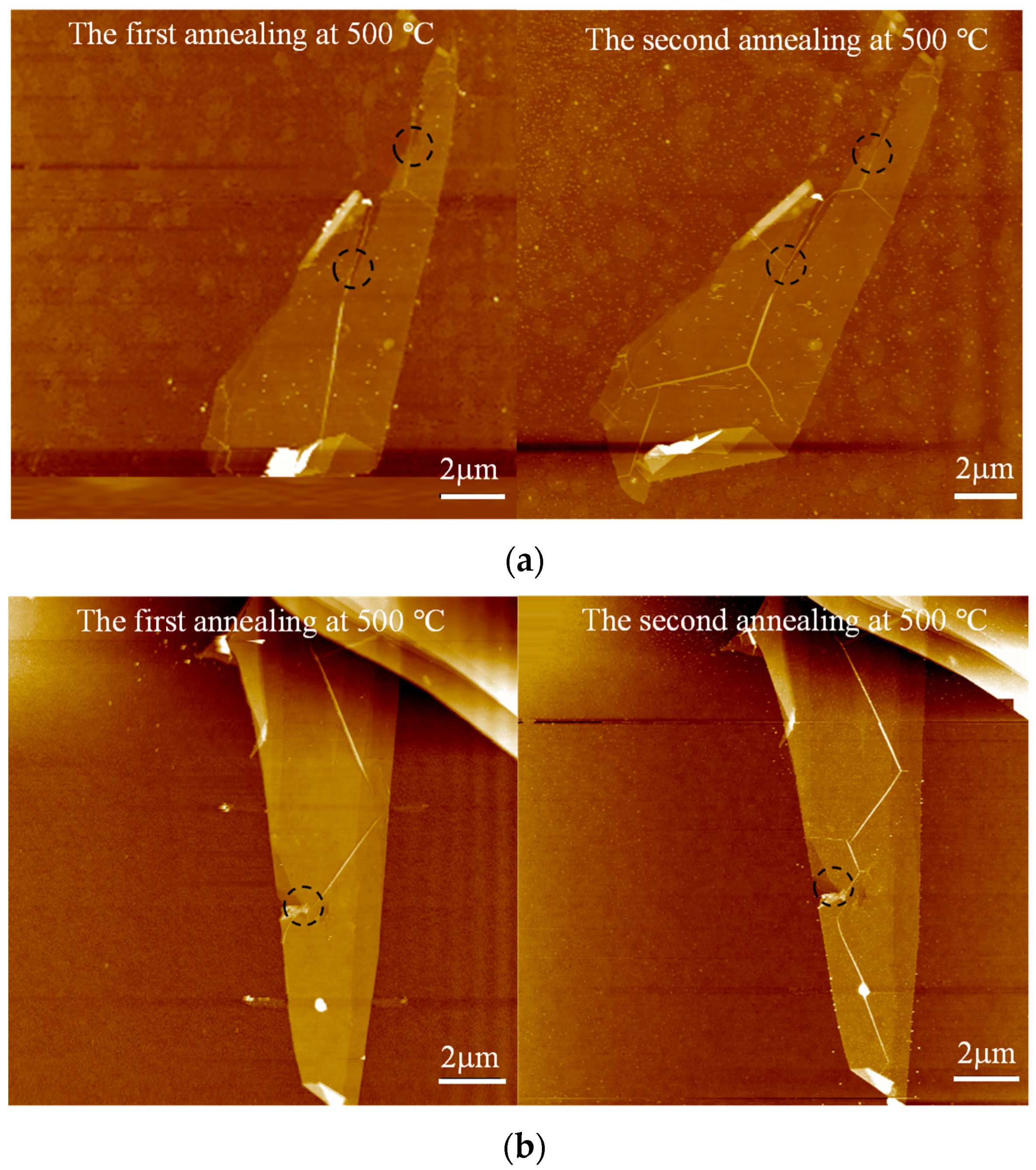 Crystals 13 00304 g008