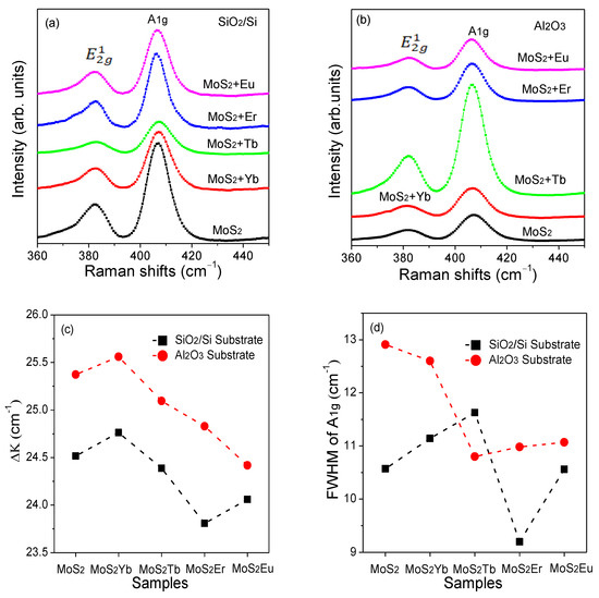 jeta様 ZETA Steering Stem Nut & Bolt, Blue | ZE58-2812 | eBay