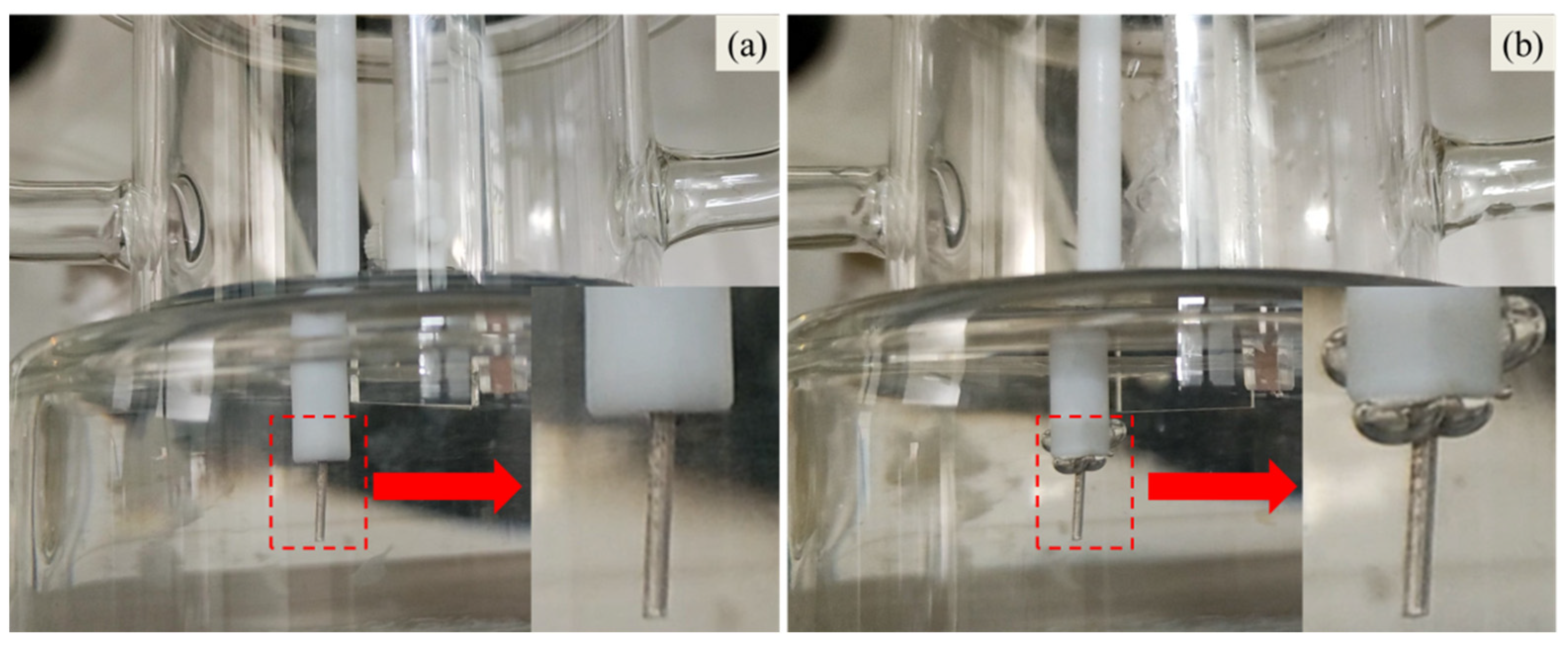 Crystals 13 00319 g006