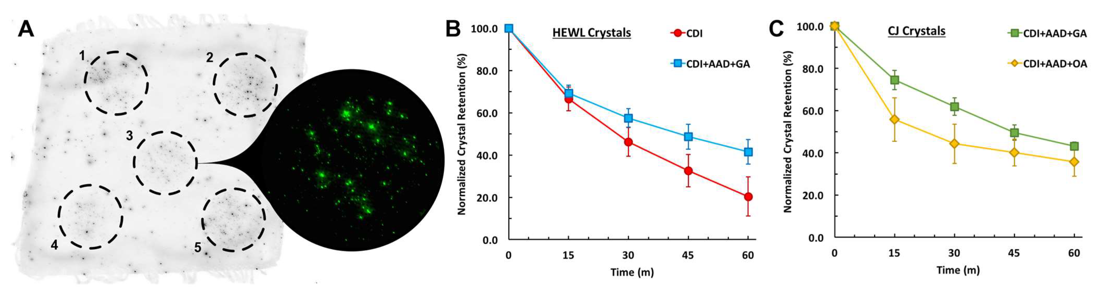 Crystals 13 00352 g003