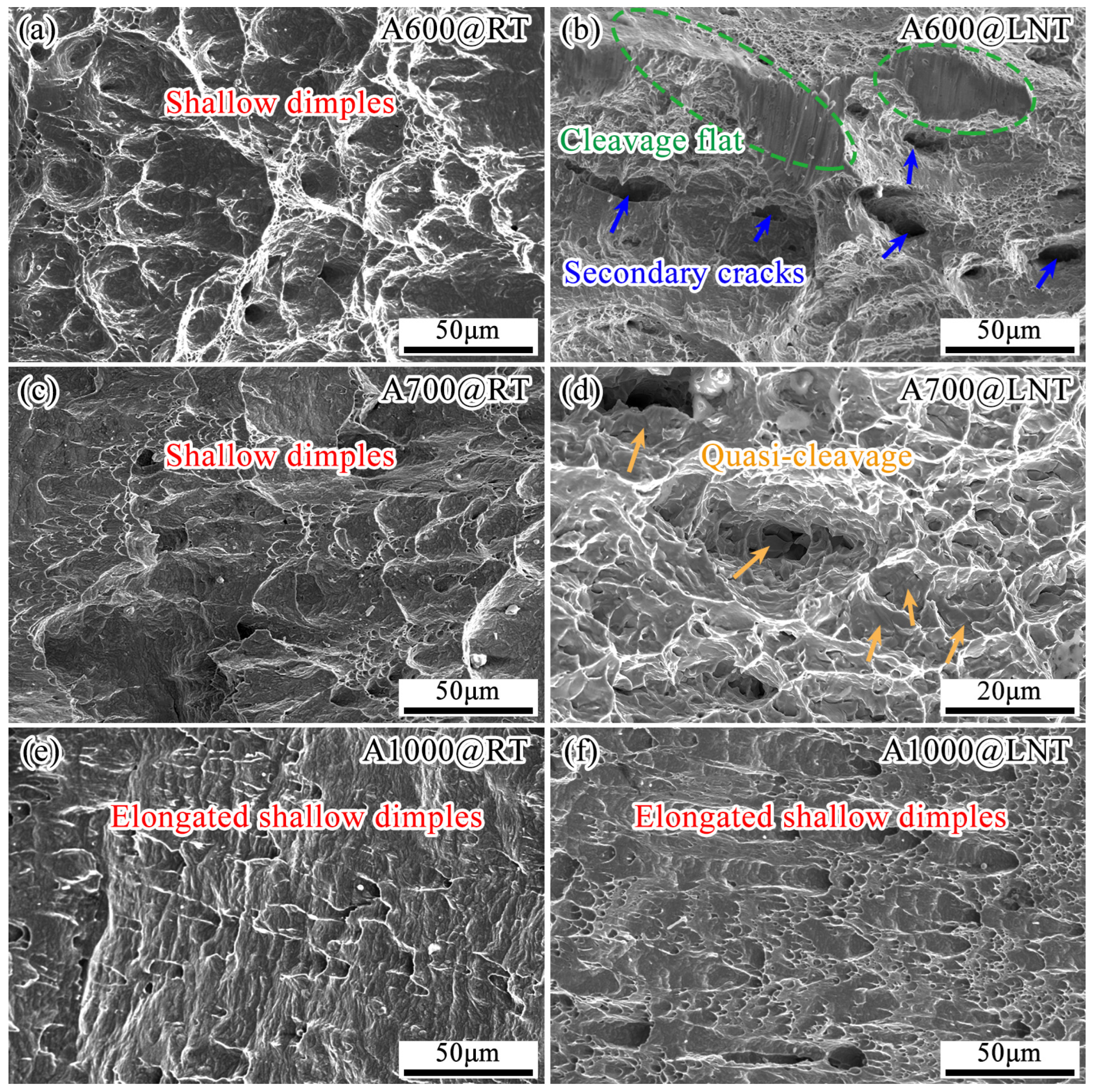 Crystals 13 00353 g006 Crystals 13 00353 g006