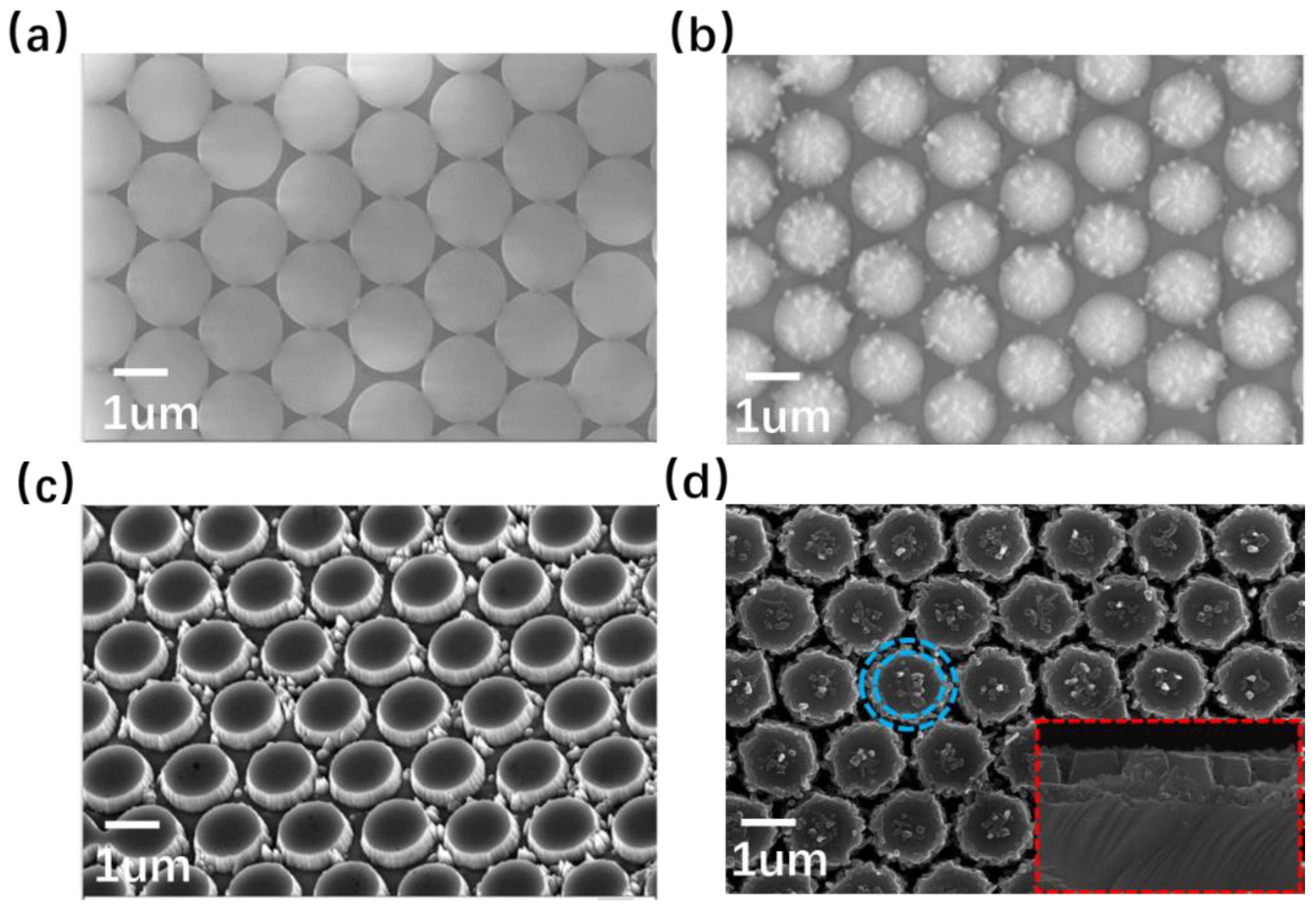 Crystals 13 00366 g002