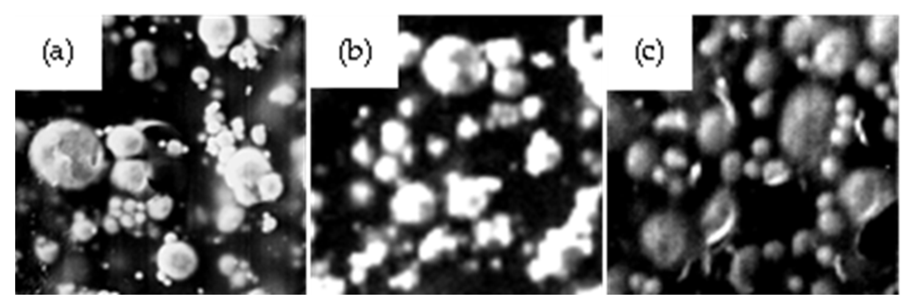 Crystals 13 00368 g004 Crystals 13 00368 g004