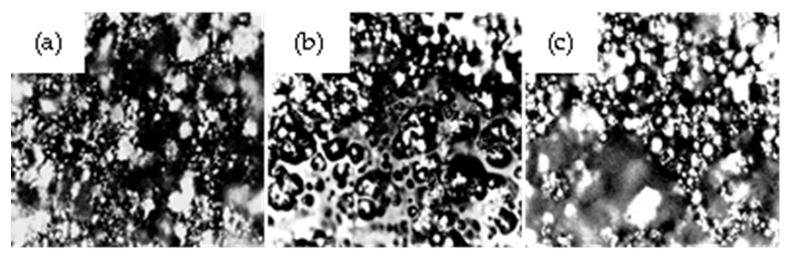 Crystals 13 00368 g005 Crystals 13 00368 g005