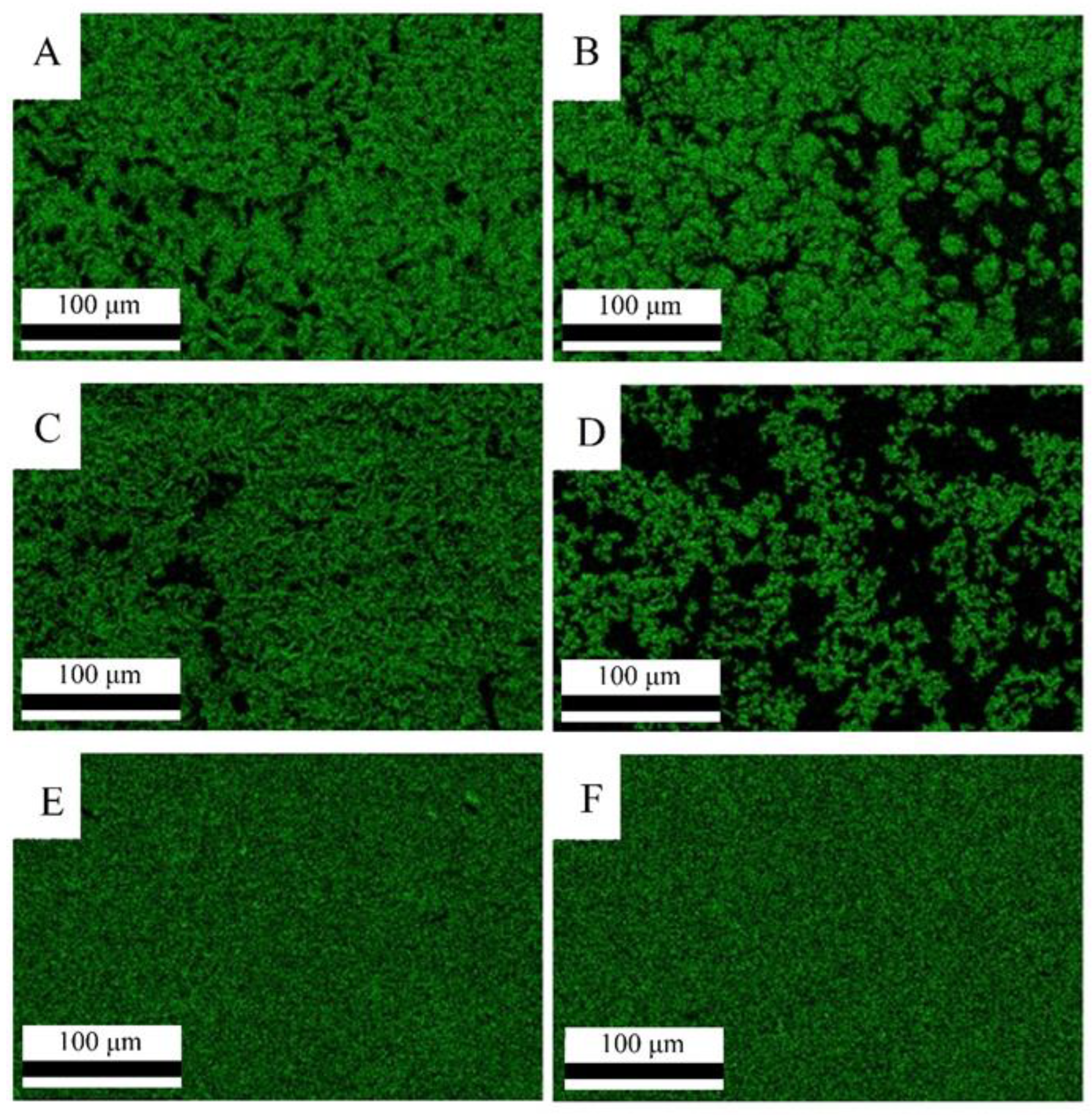 Crystals 13 00369 g005