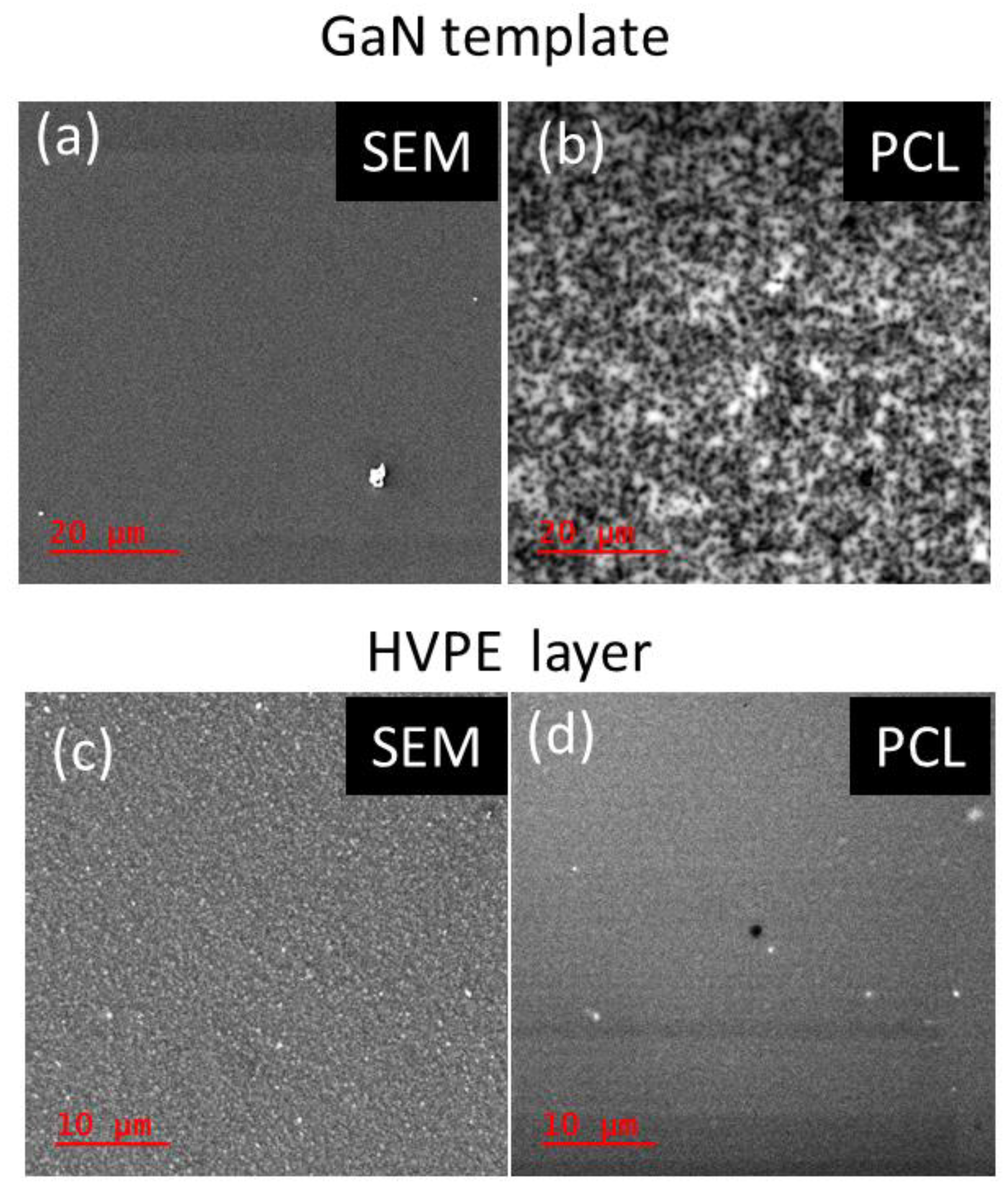 Crystals 13 00373 g010