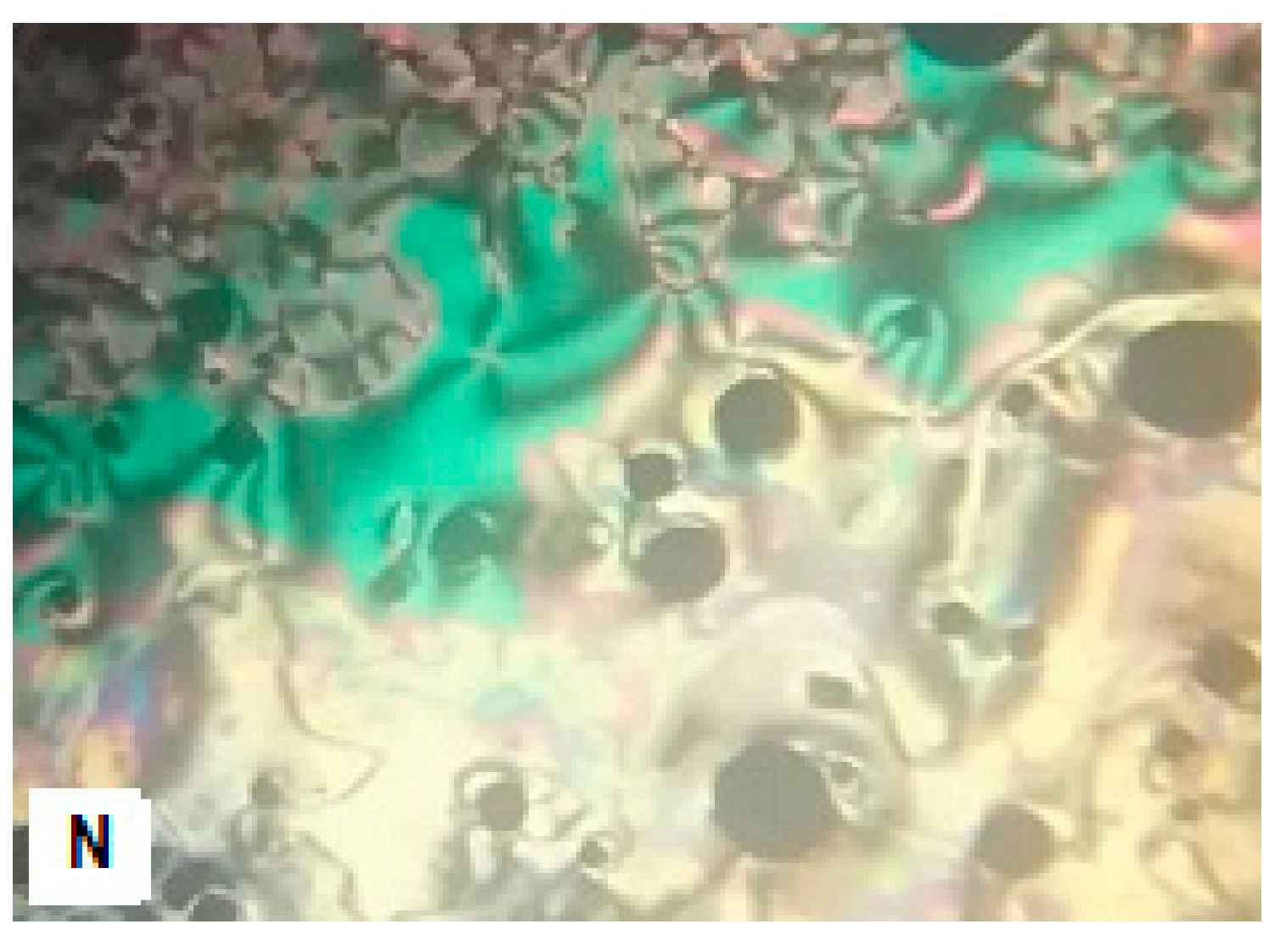 Crystals 13 00378 g002 550