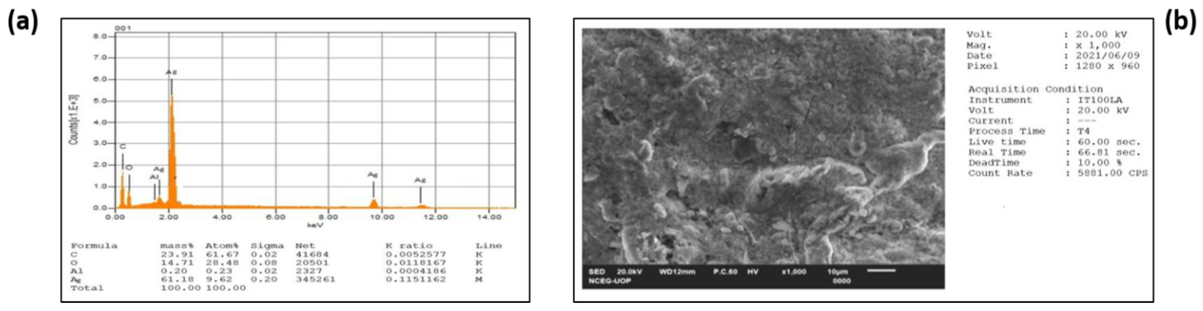 Crystals 13 00398 g002 Crystals 13 00398 g002